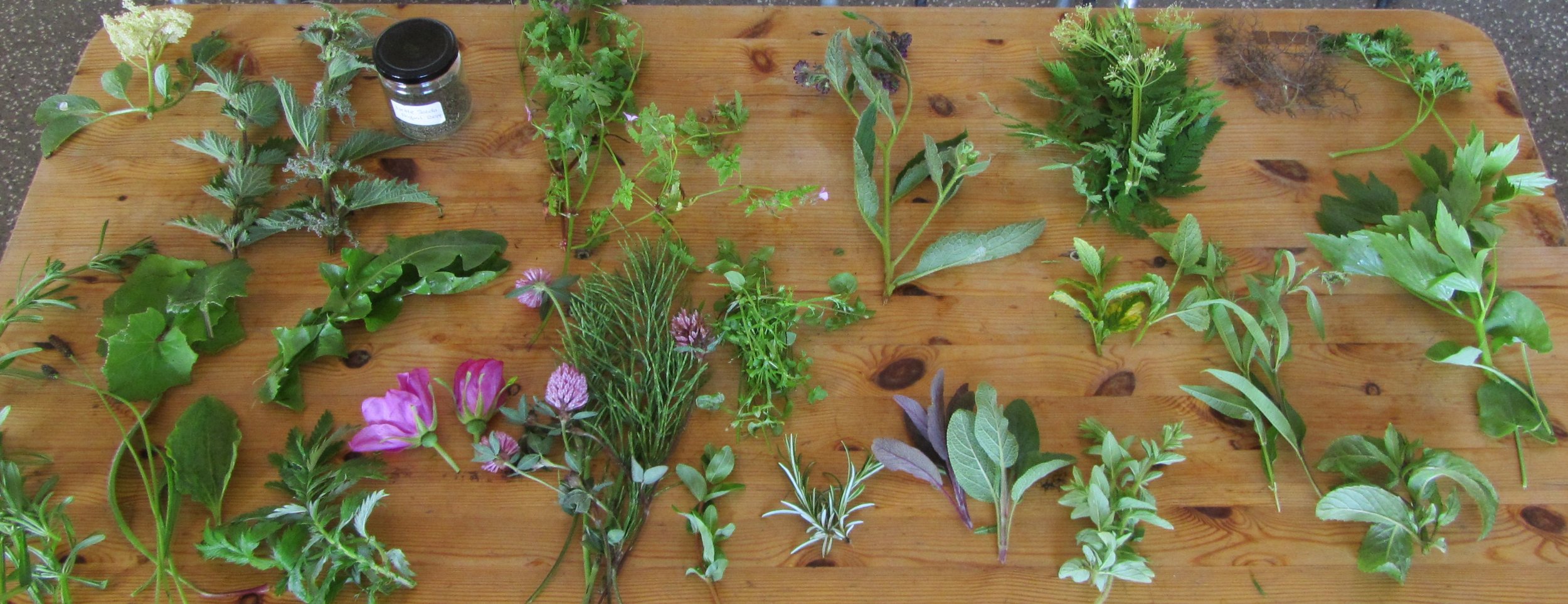 herb table.JPG
