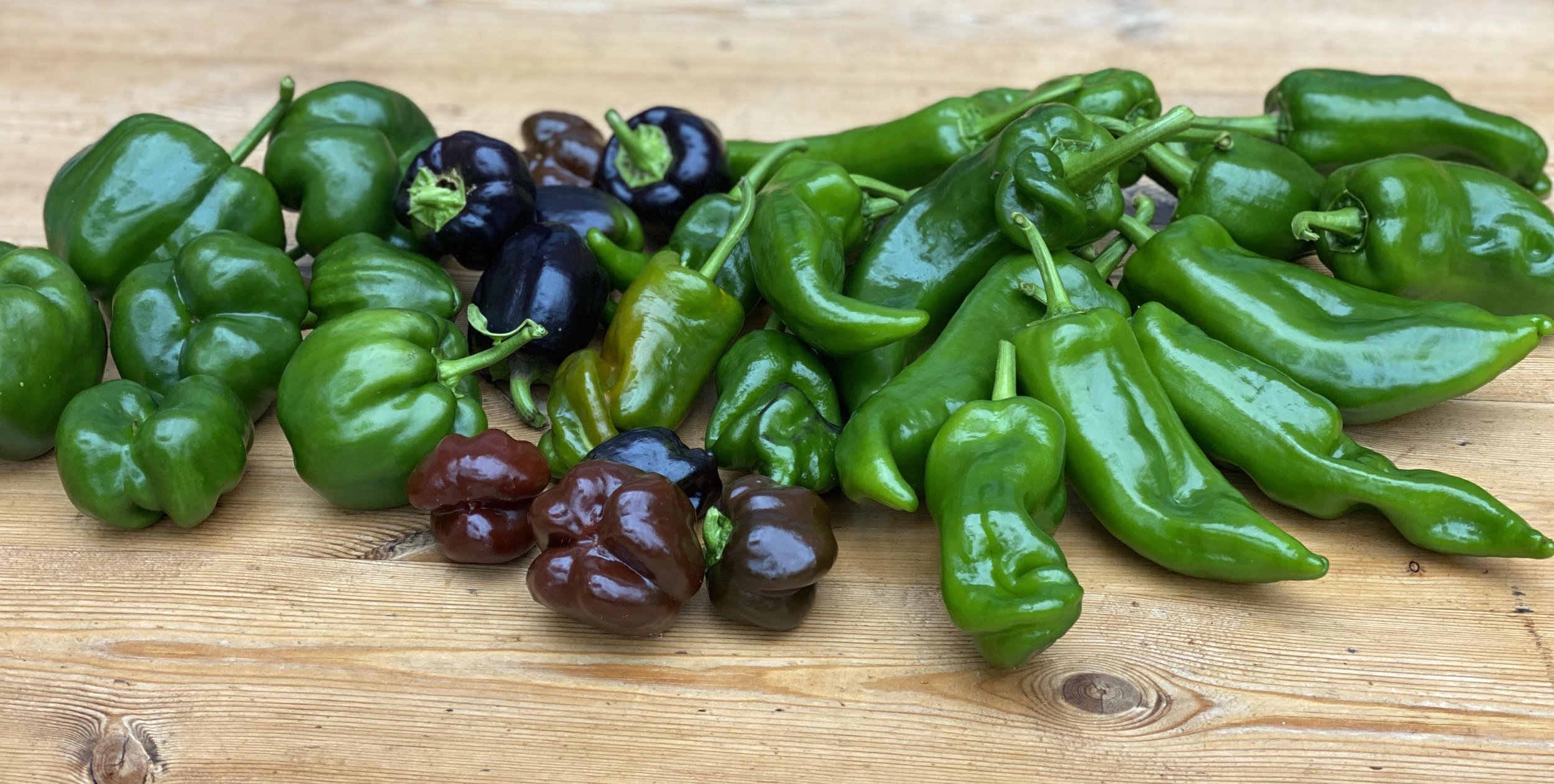 peppers 22 3.jpg