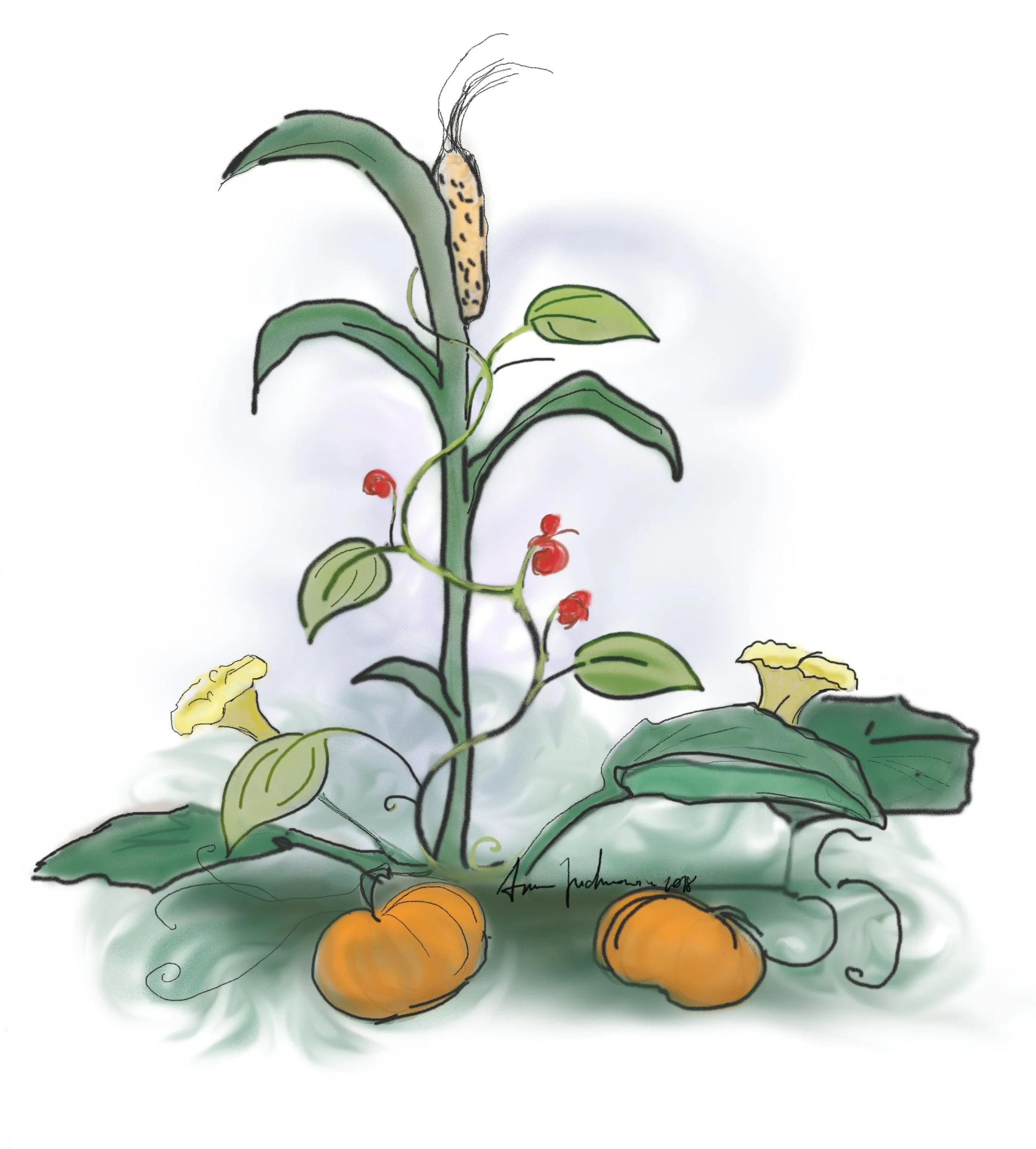Companion Planting – More Fact than Fiction