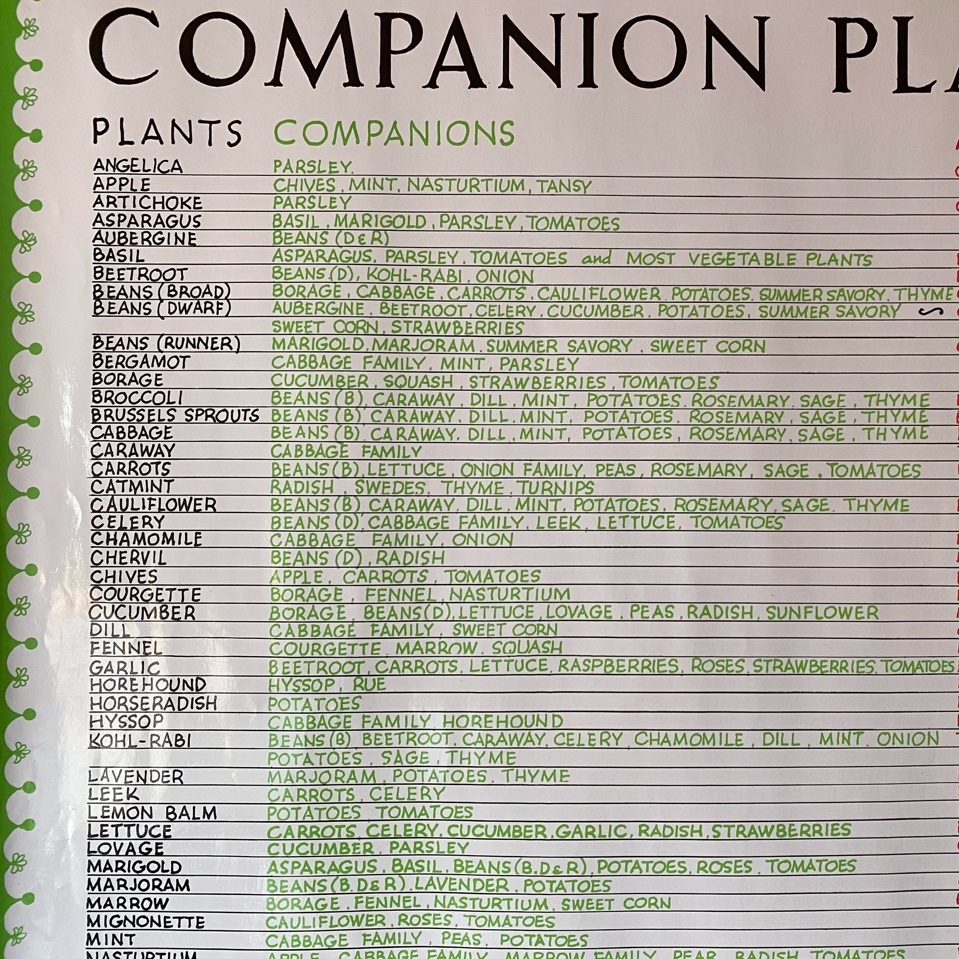 companion+planting+chart.jpg