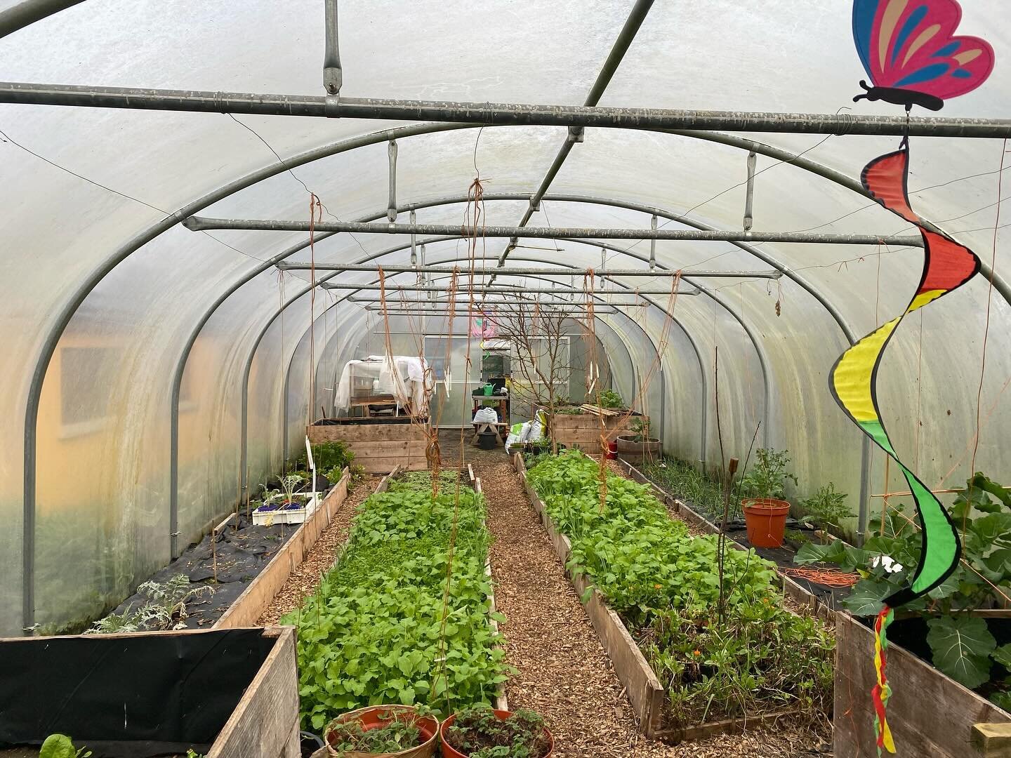 The venue for our upcoming course &ldquo;Growing in Polytunnels and Glasshouses&rdquo;.
A polytunnel gives you not only vegetables, but also a reason to get up in the morning😀,it is a necessary piece of equipment to future proof your garden and beco
