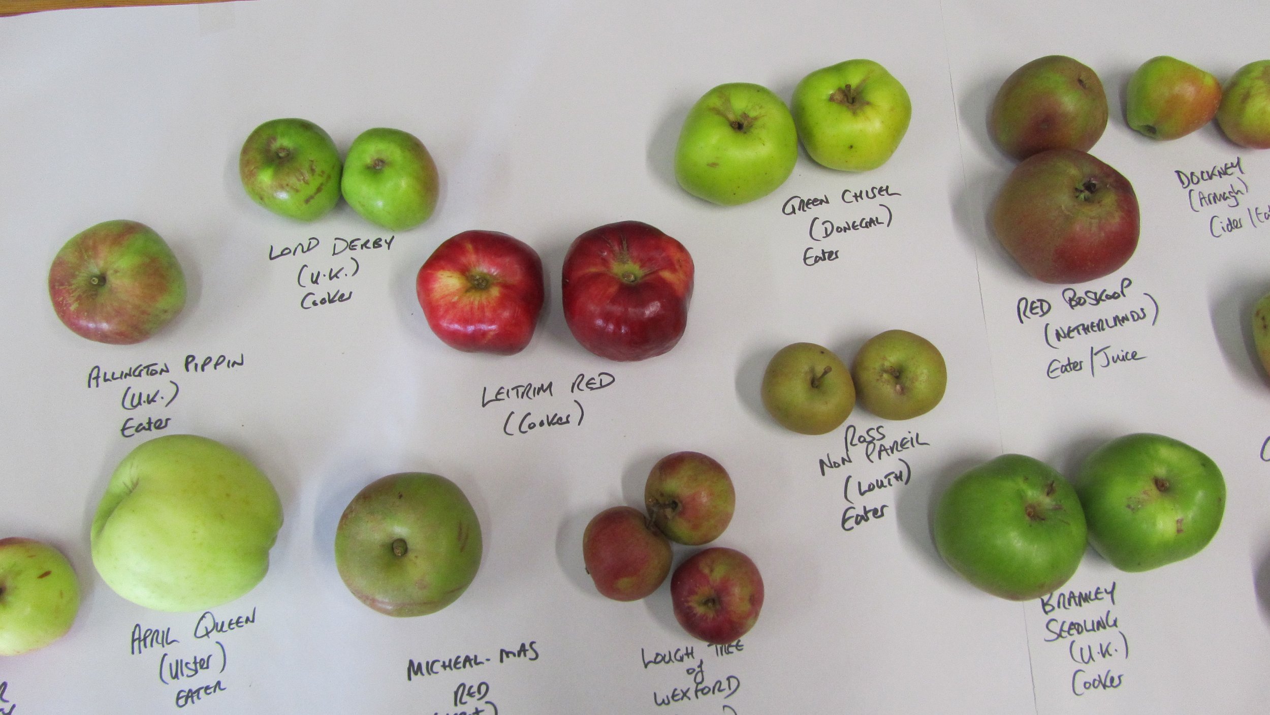 apple varieties 1.JPG