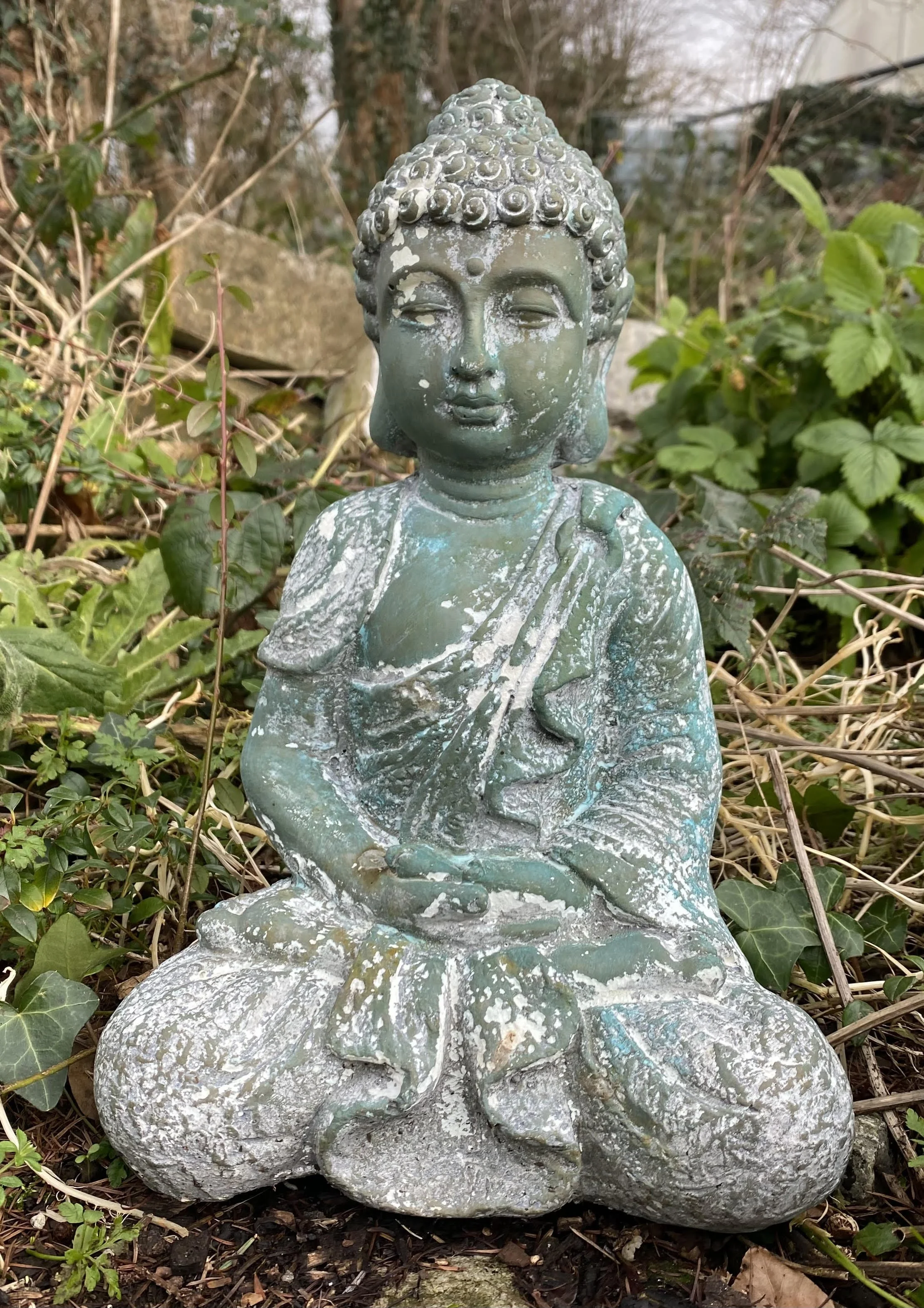 &nbsp;Gratitude – Healthy for Body and Soul