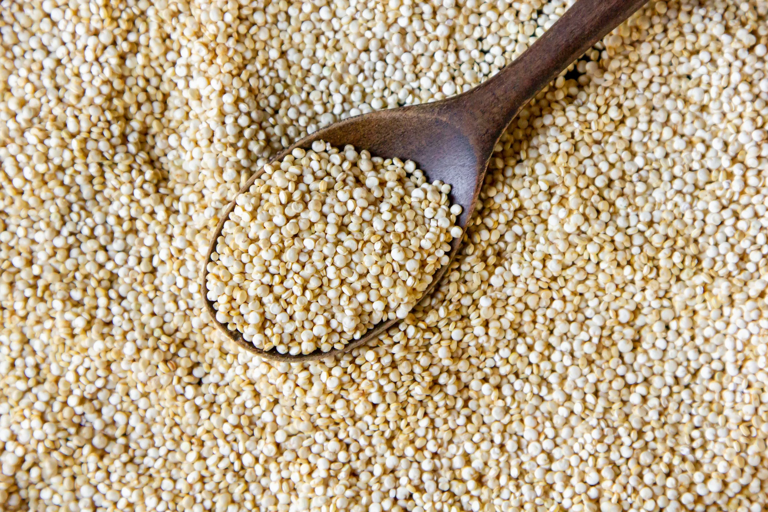 Quinoa - a seed for change