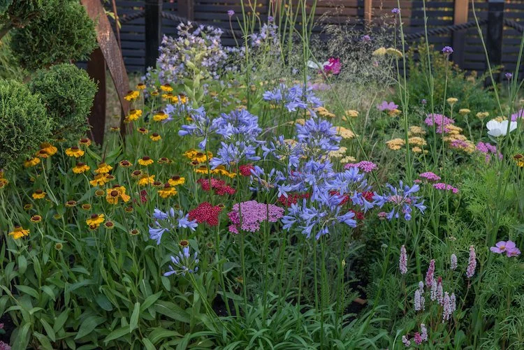Natural Gardens – gardening with nature in mind