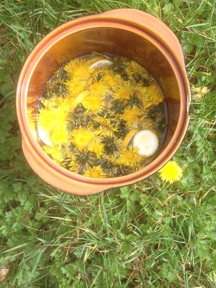 dandelion lemonade.jpg