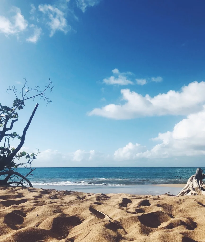 Guadeloupe Travel Tips A Tale Of Two Islands Silly