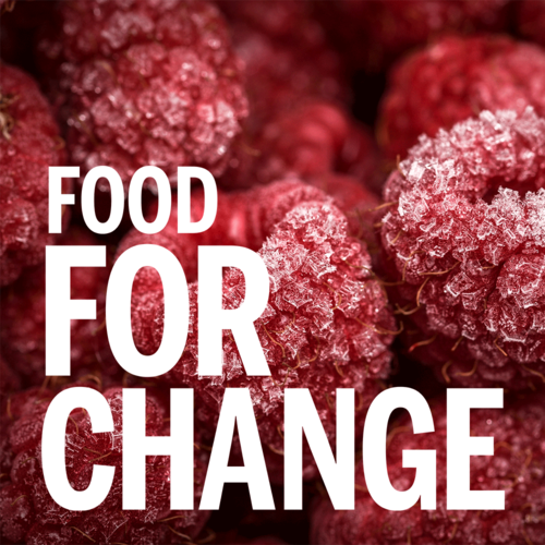 'Good Food' - Velvet Magazine celebrates Cambridge Sustainable Food's Fifth Birthday and Food For Change launch