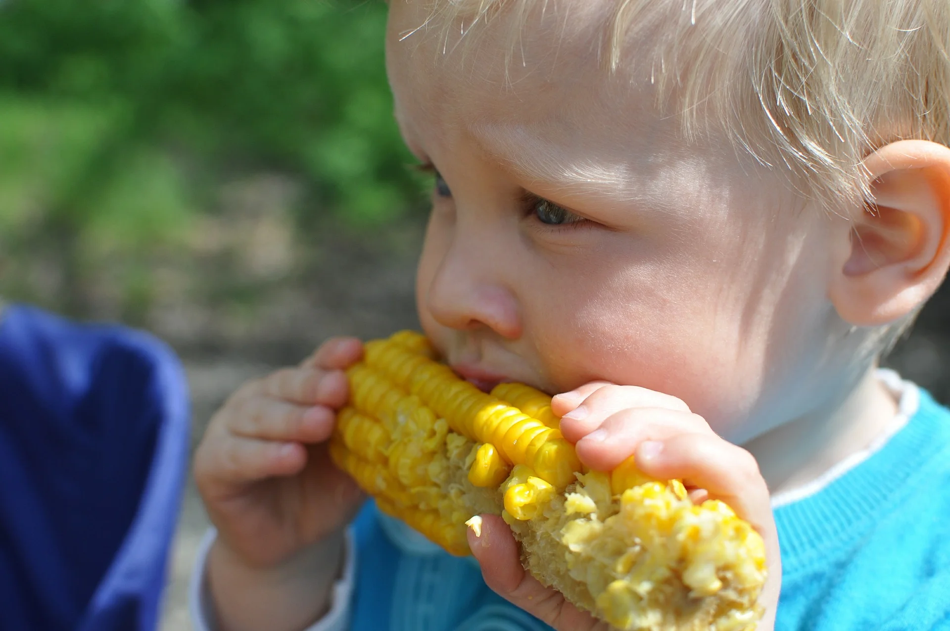Sweet corn.jpg