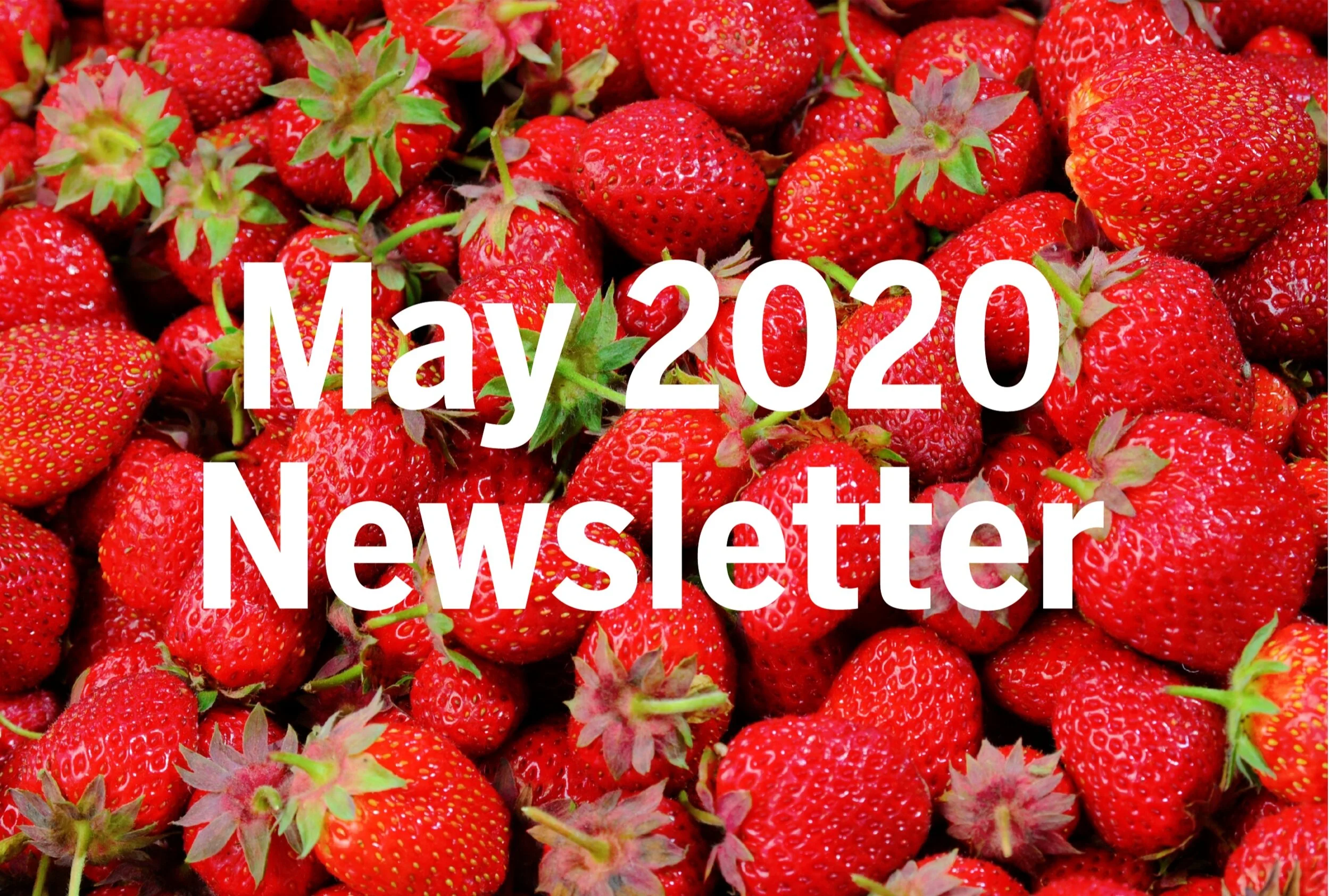 May 2020 Newsletter