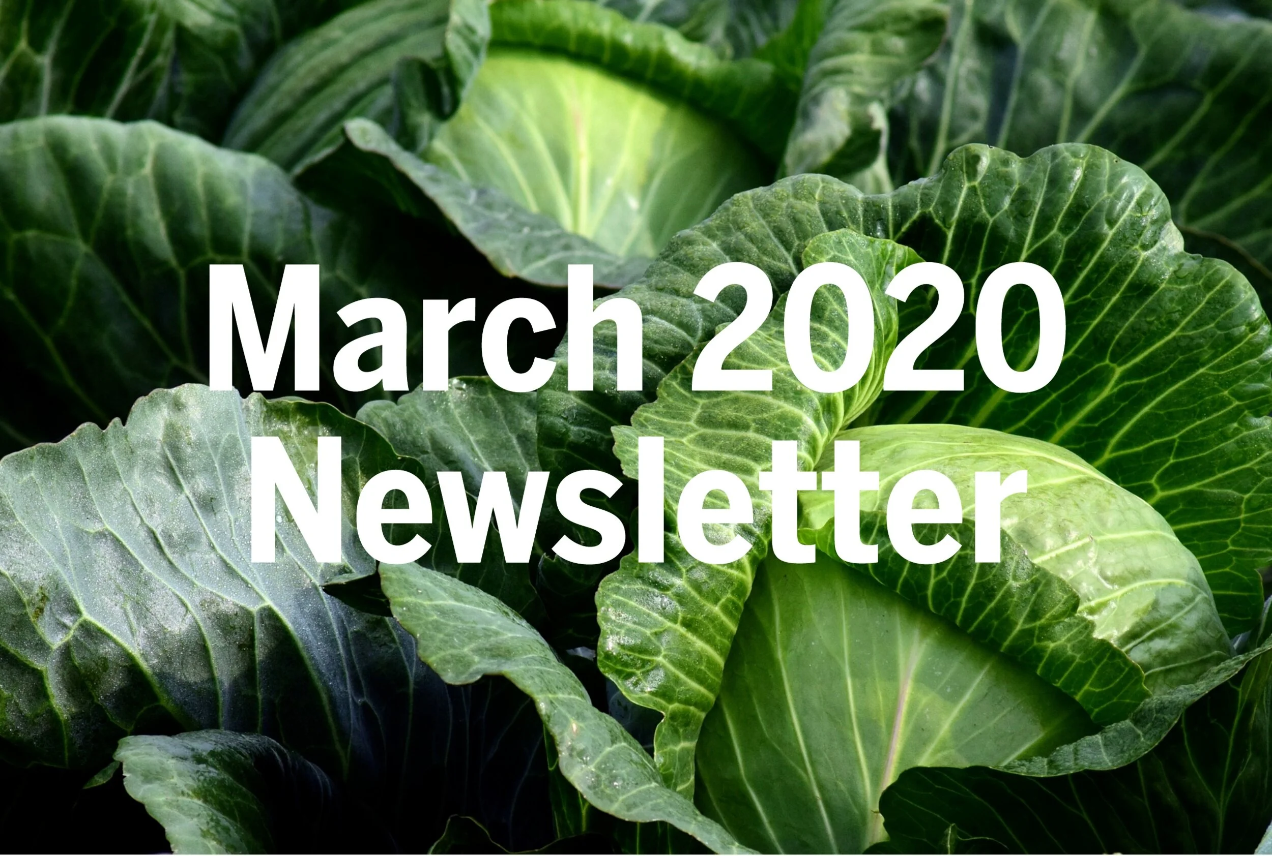 March 2020 Newsletter
