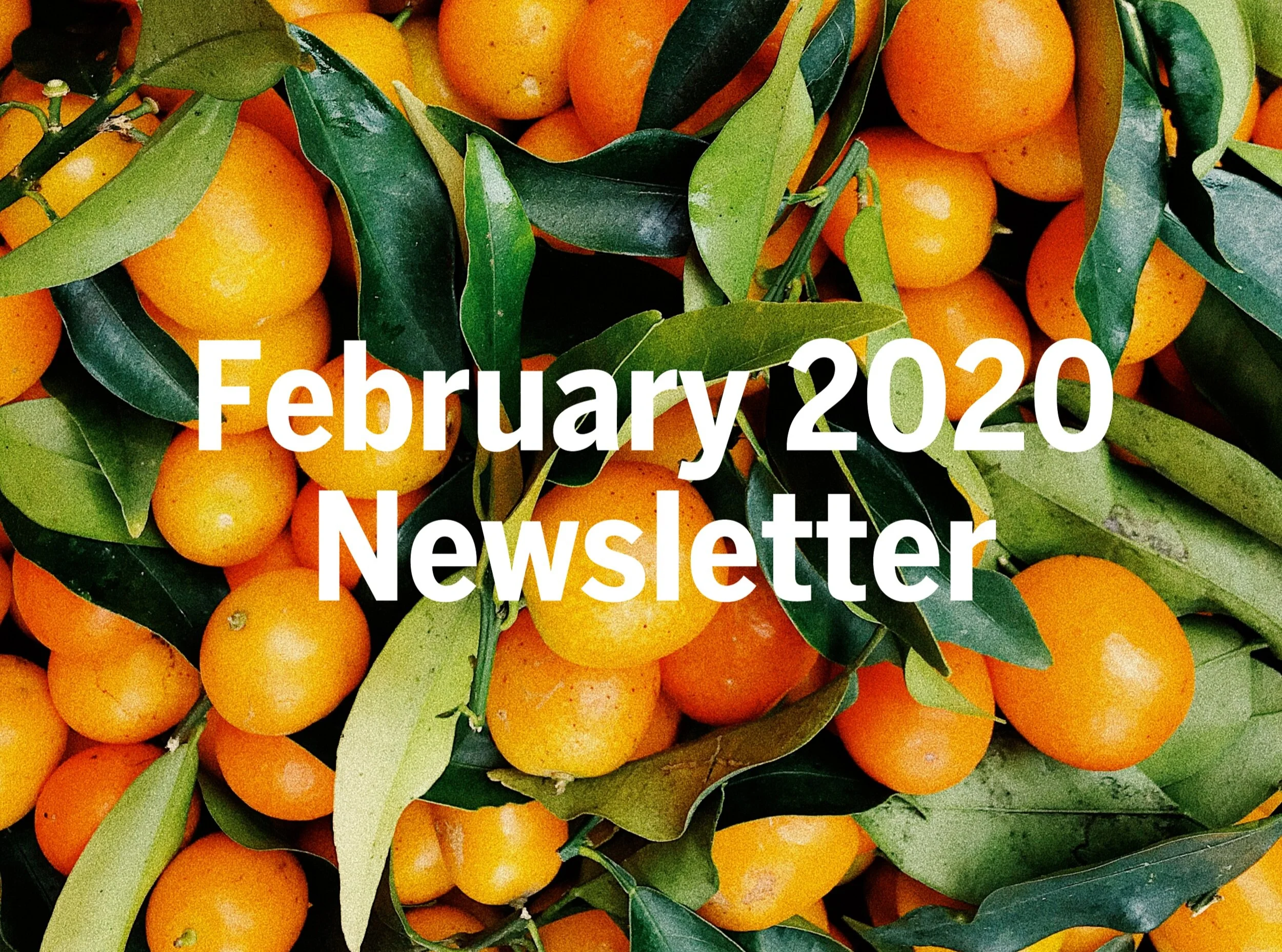 February 2020 Newsletter