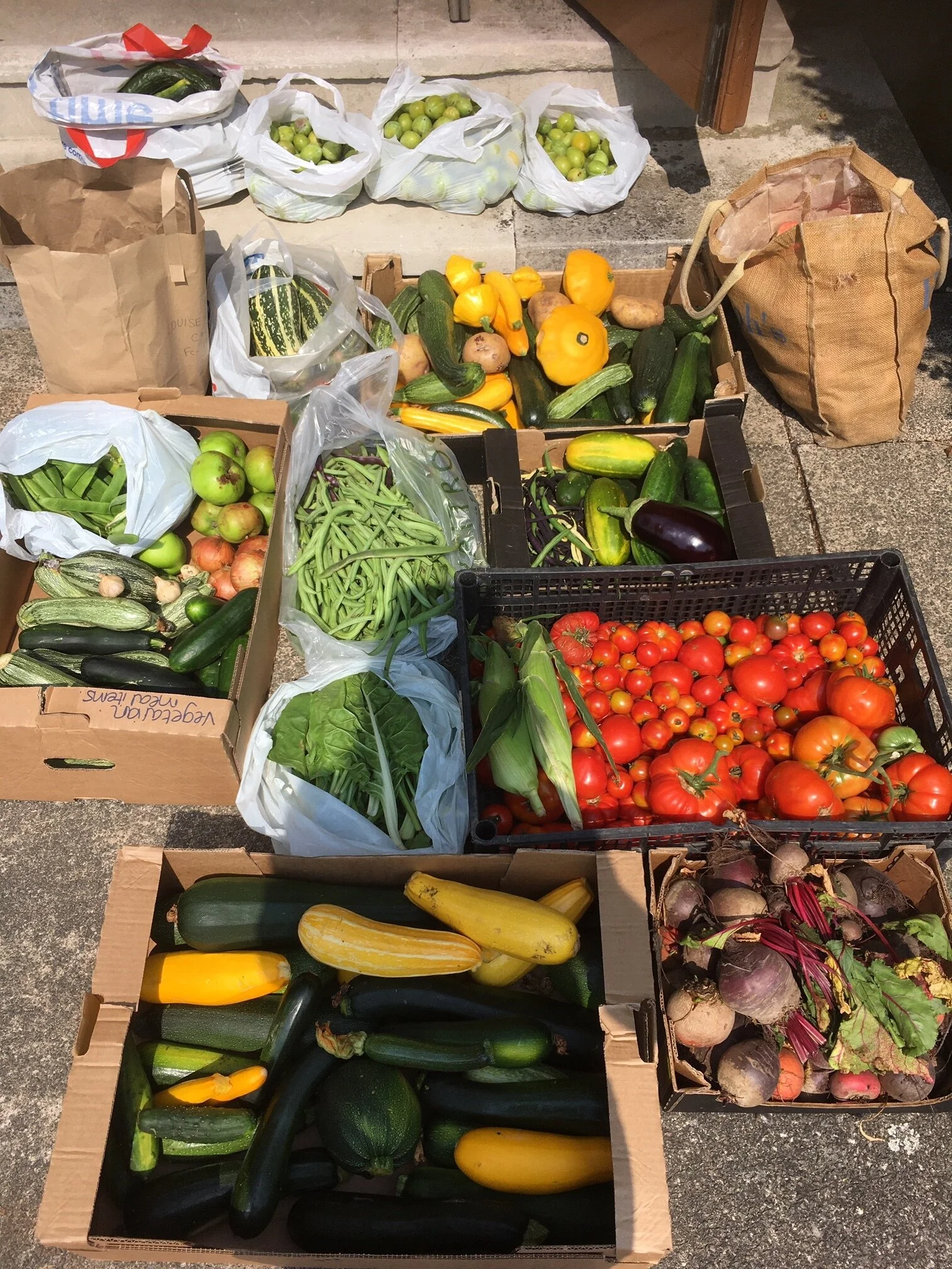 Grow a Row in Cambridge