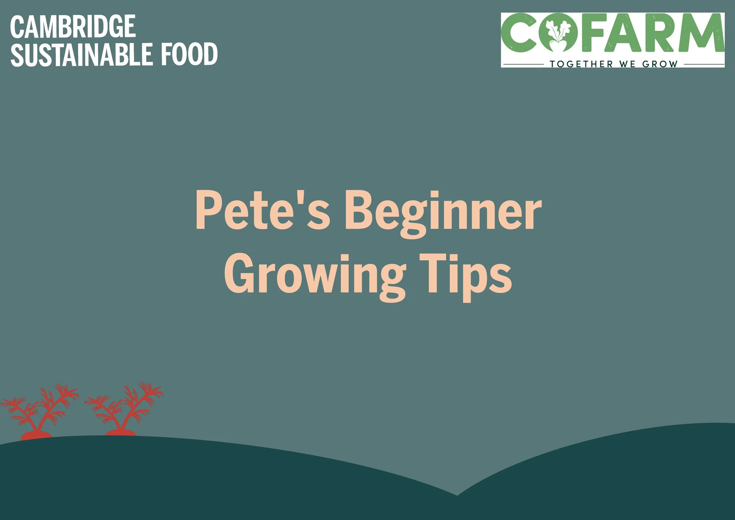 Beginner Growing Tips from CoFarm Cambridge 