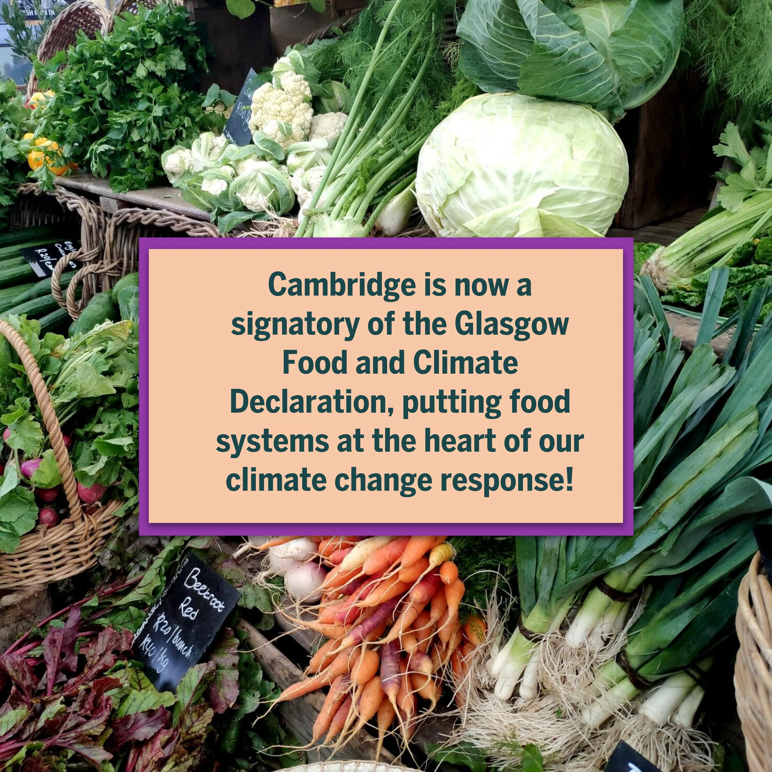 Cambridge Joins the Global Call for Climate Action by Signing The Glasgow Food and Climate Declaration