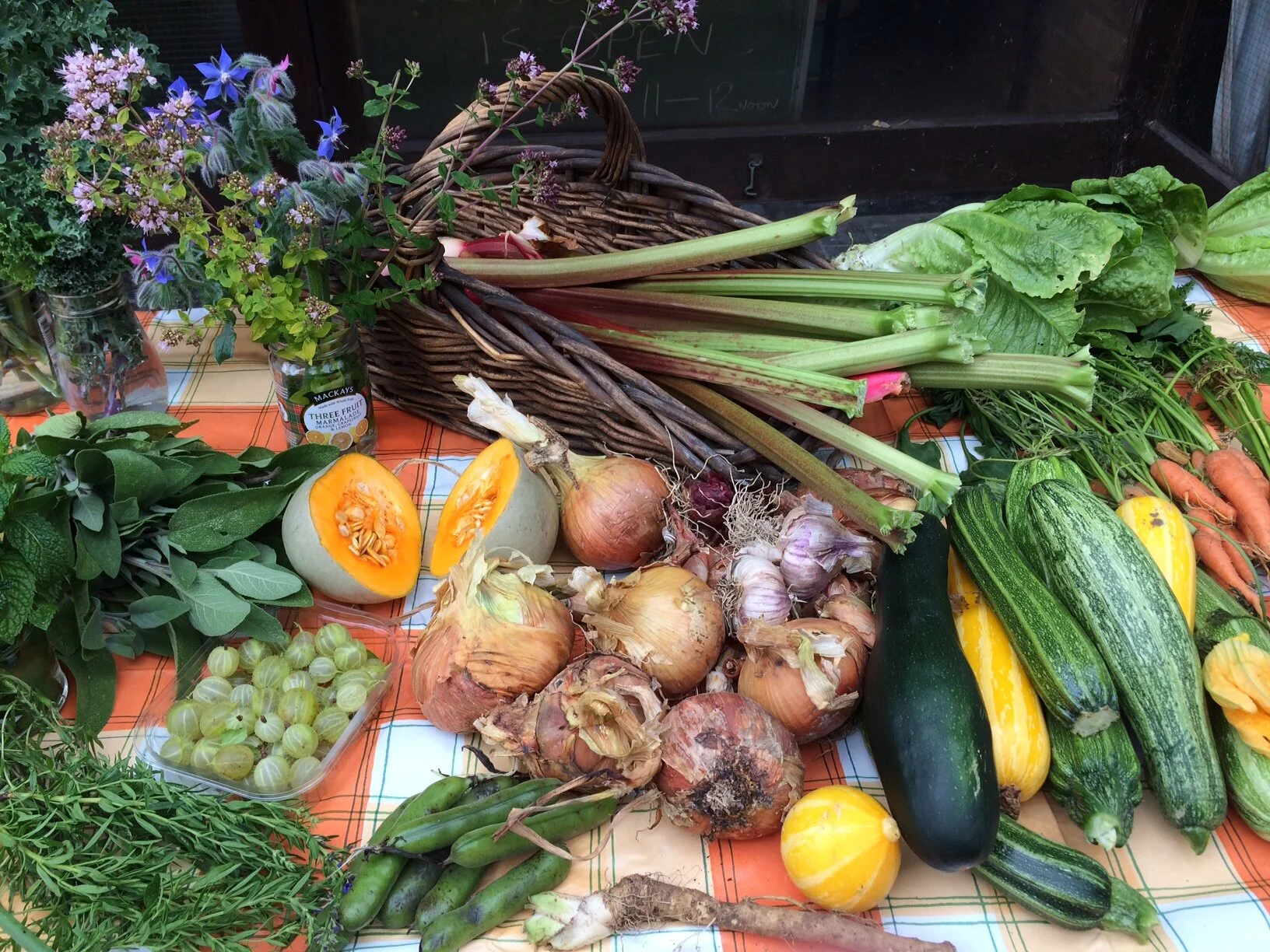 Veg fest.jpeg