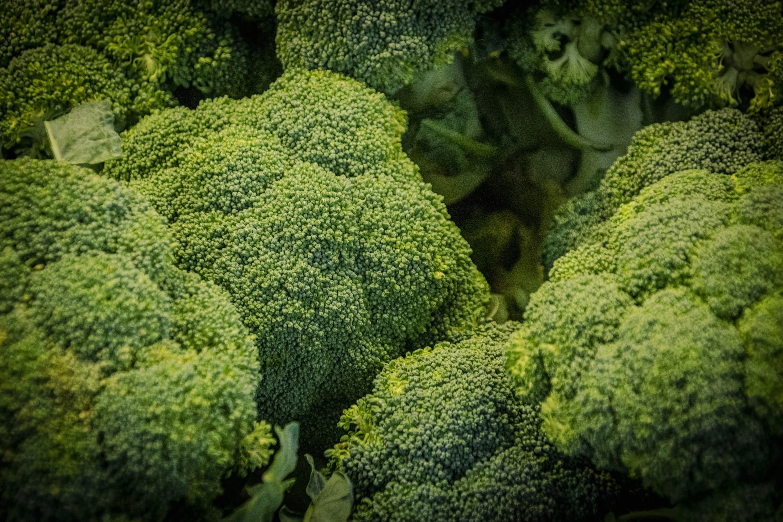 Business December Newsletter