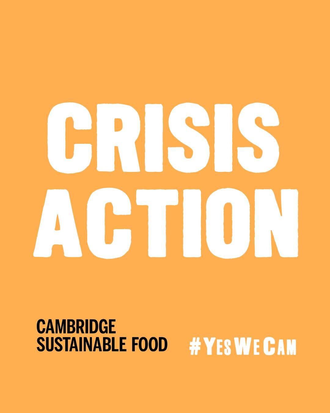 🍴Cambridge Cost of Food and Living Crisis Fund🍴

Today we have presented our Plea to the Government, signed by over 30 frontline Cambridgeshire food organisations across Cambridge, in the hope that the government will address our growing concerns r