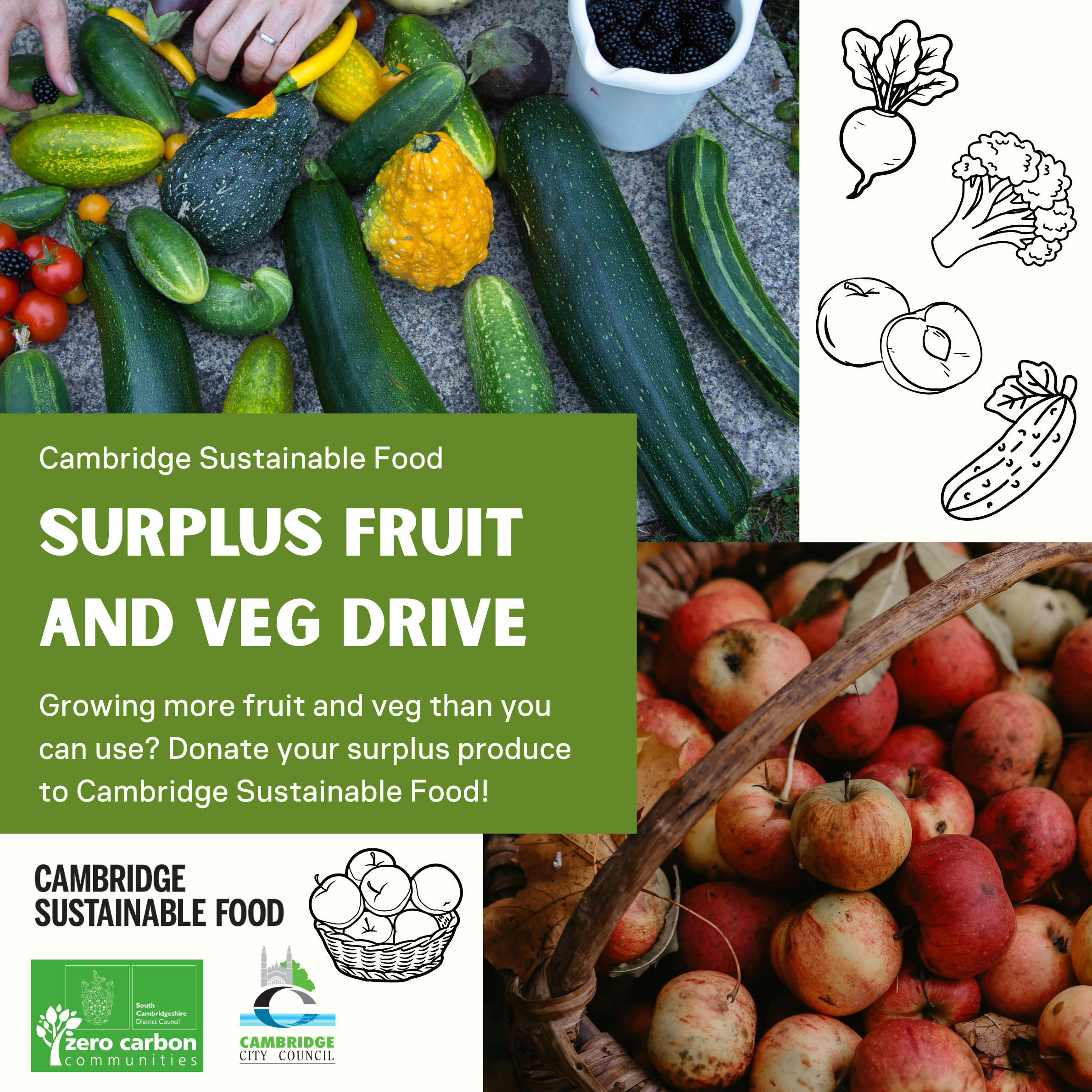 Surplus fruit &amp; veg collection week