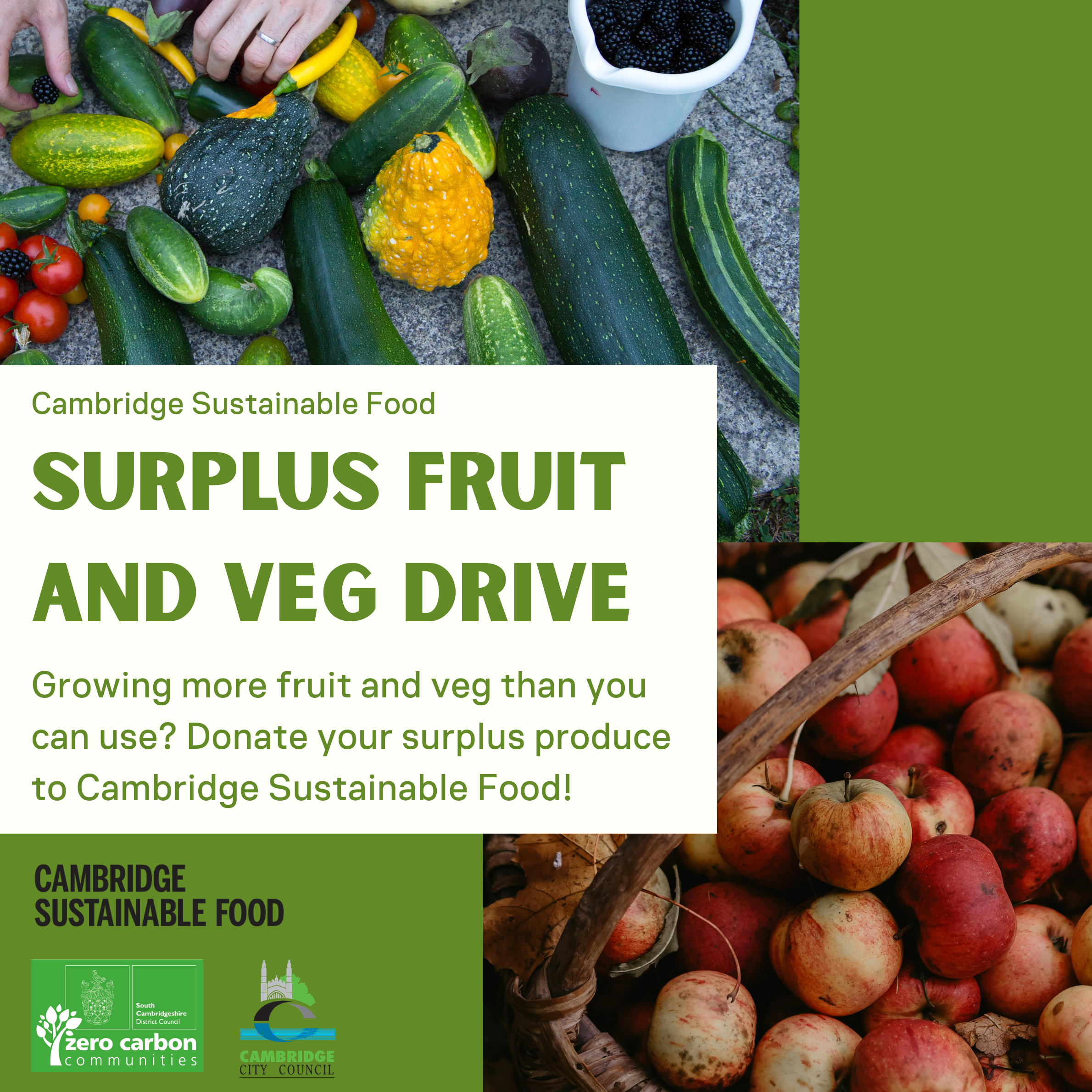 Surplus fruit &amp; veg collection week