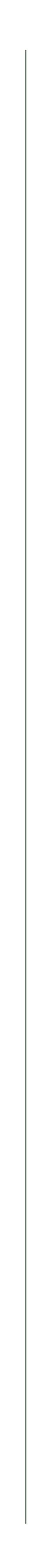 filet-01-01.png