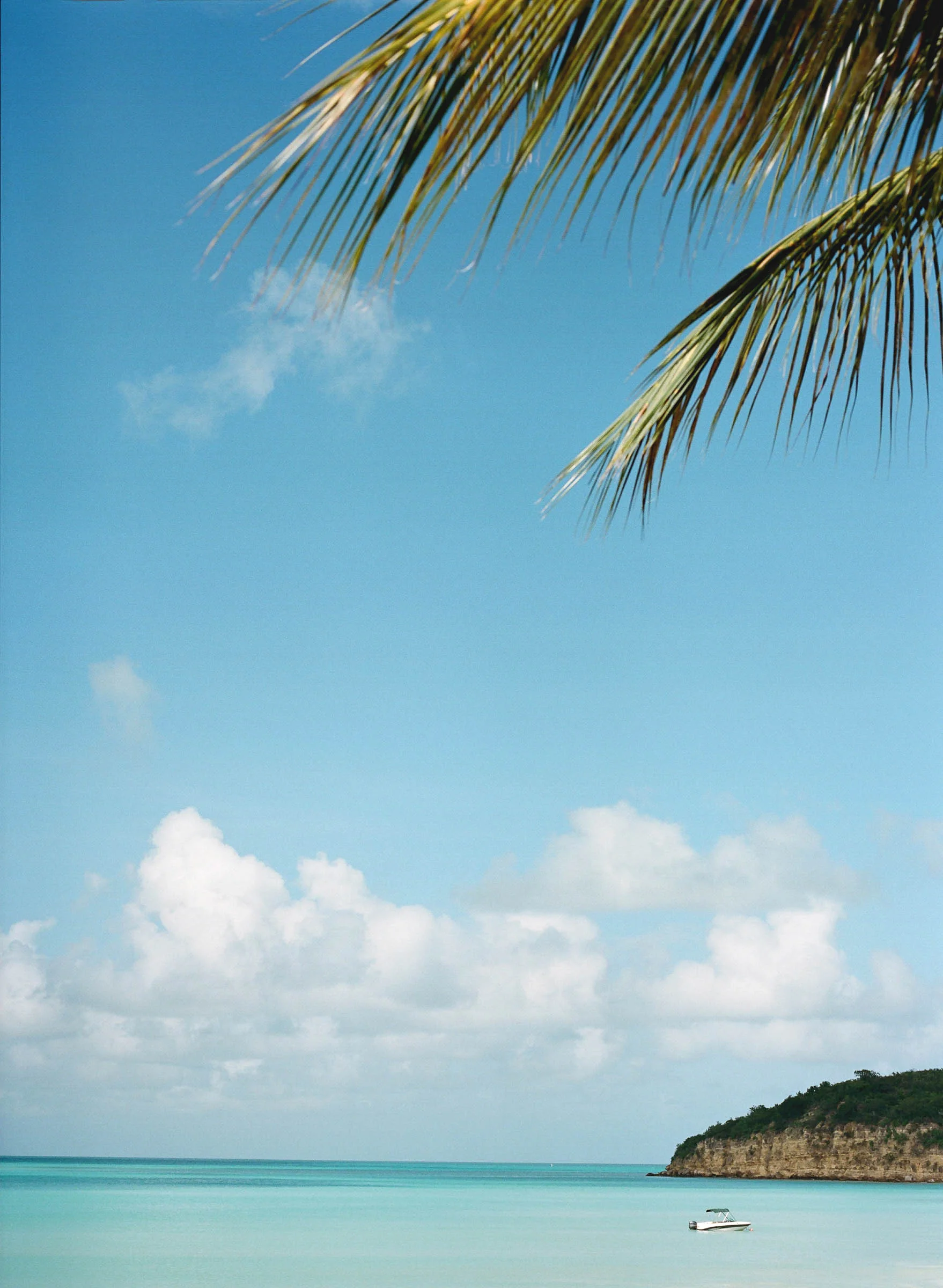 img-43.jpg