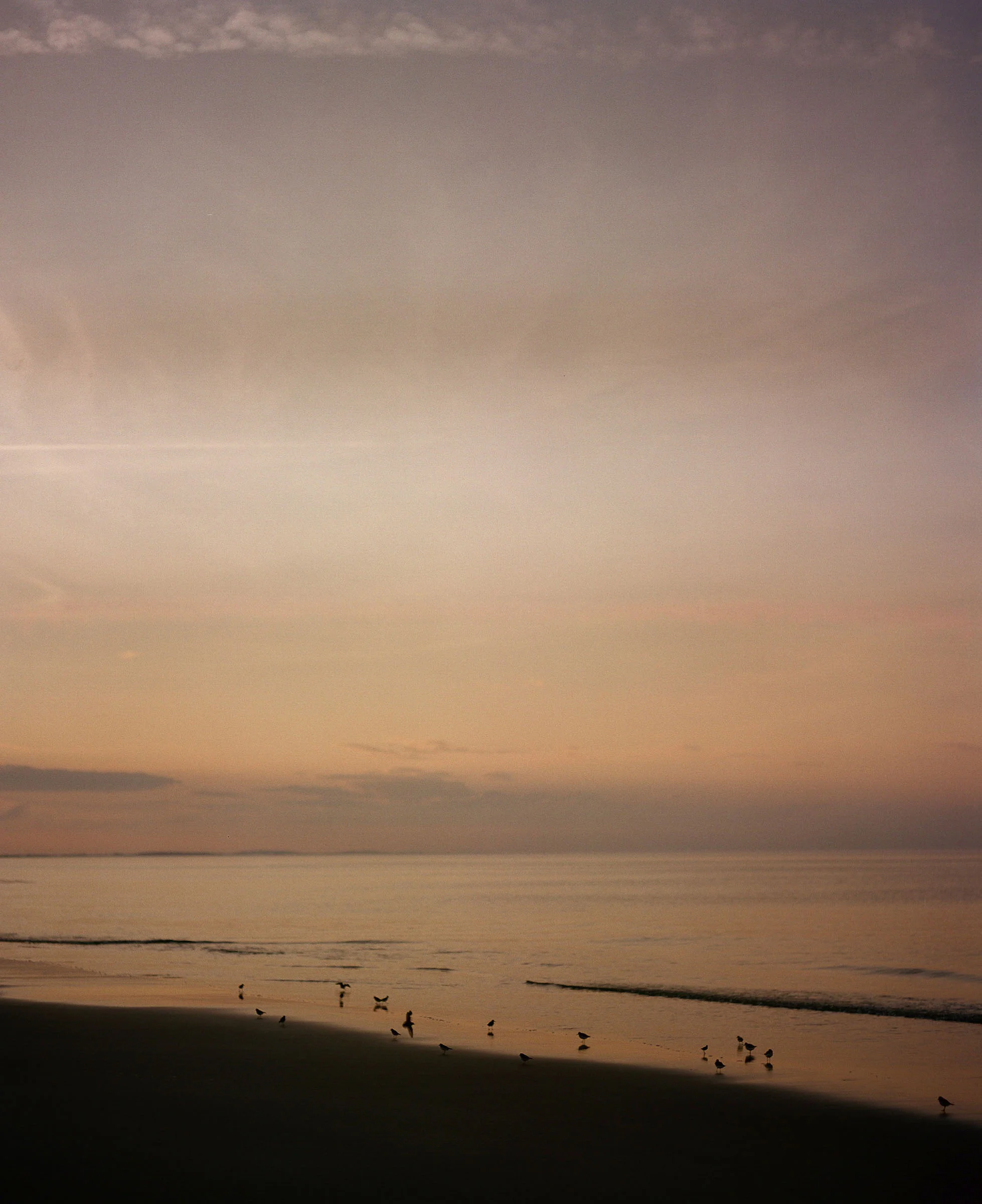 img-40.jpg