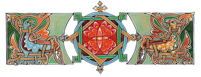 resized 3x .png