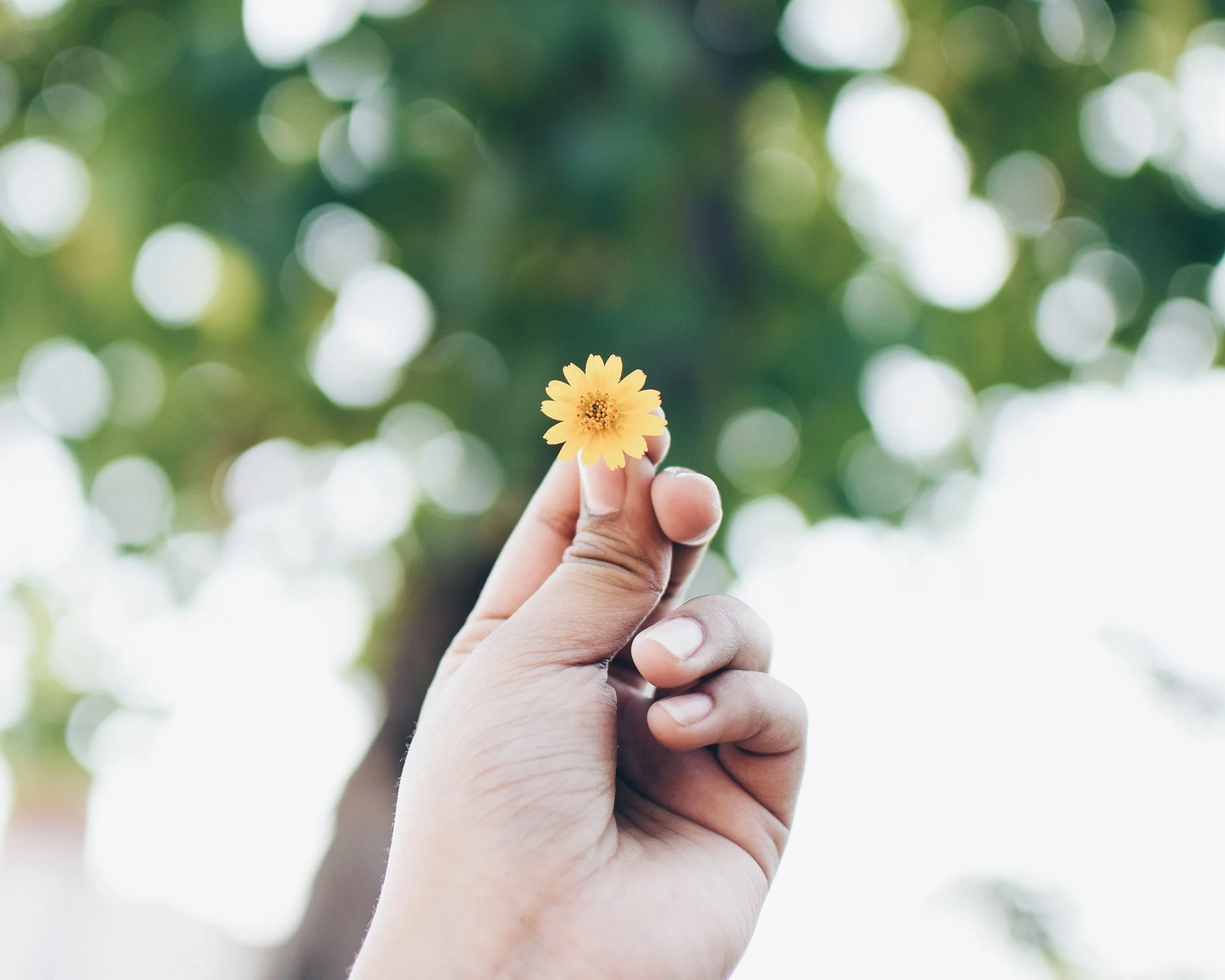 Grief + Christianity