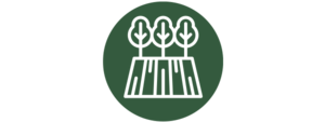 outdoors_aanb_icons.png