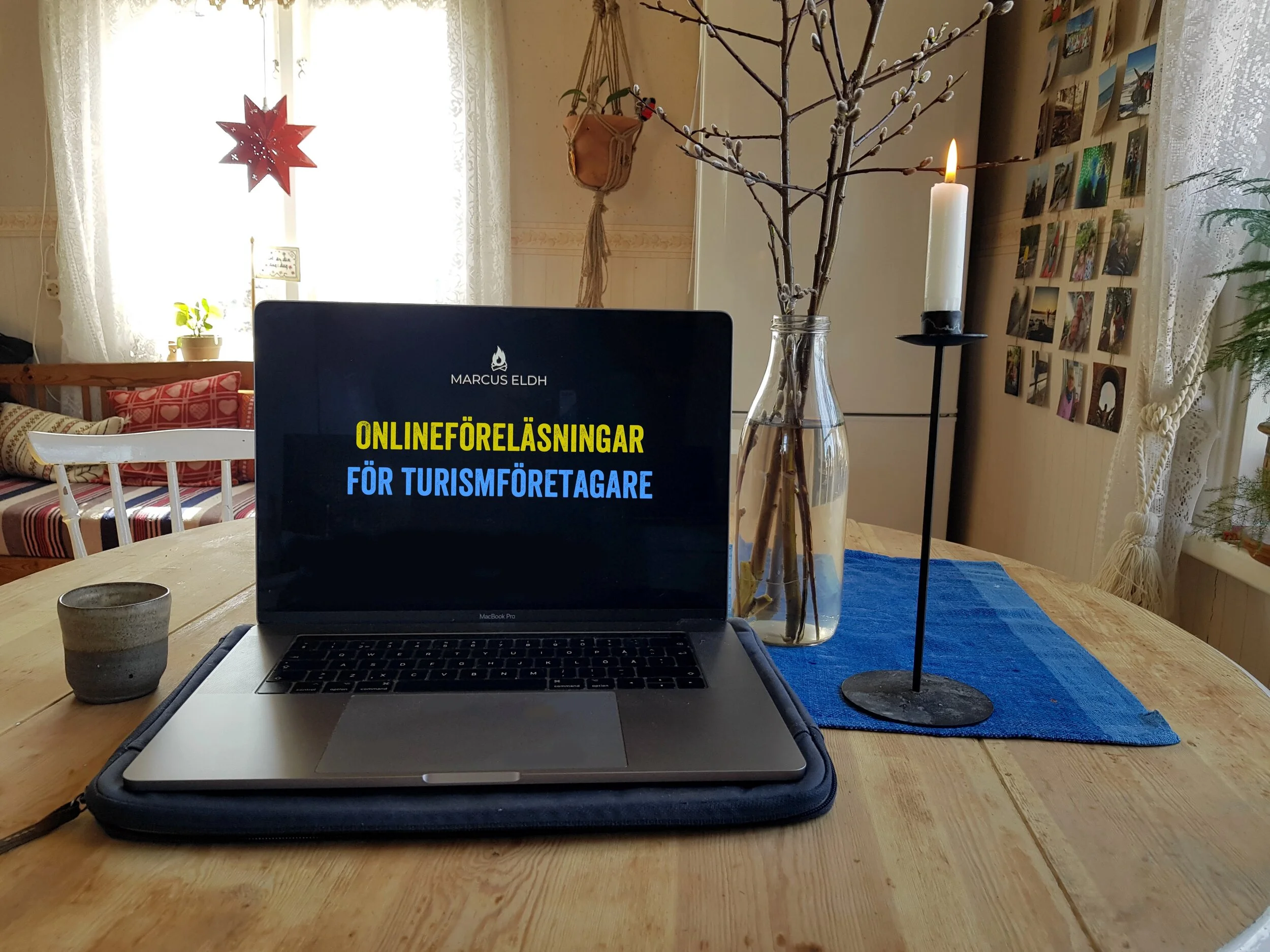 onlineföreläsningar.jpg
