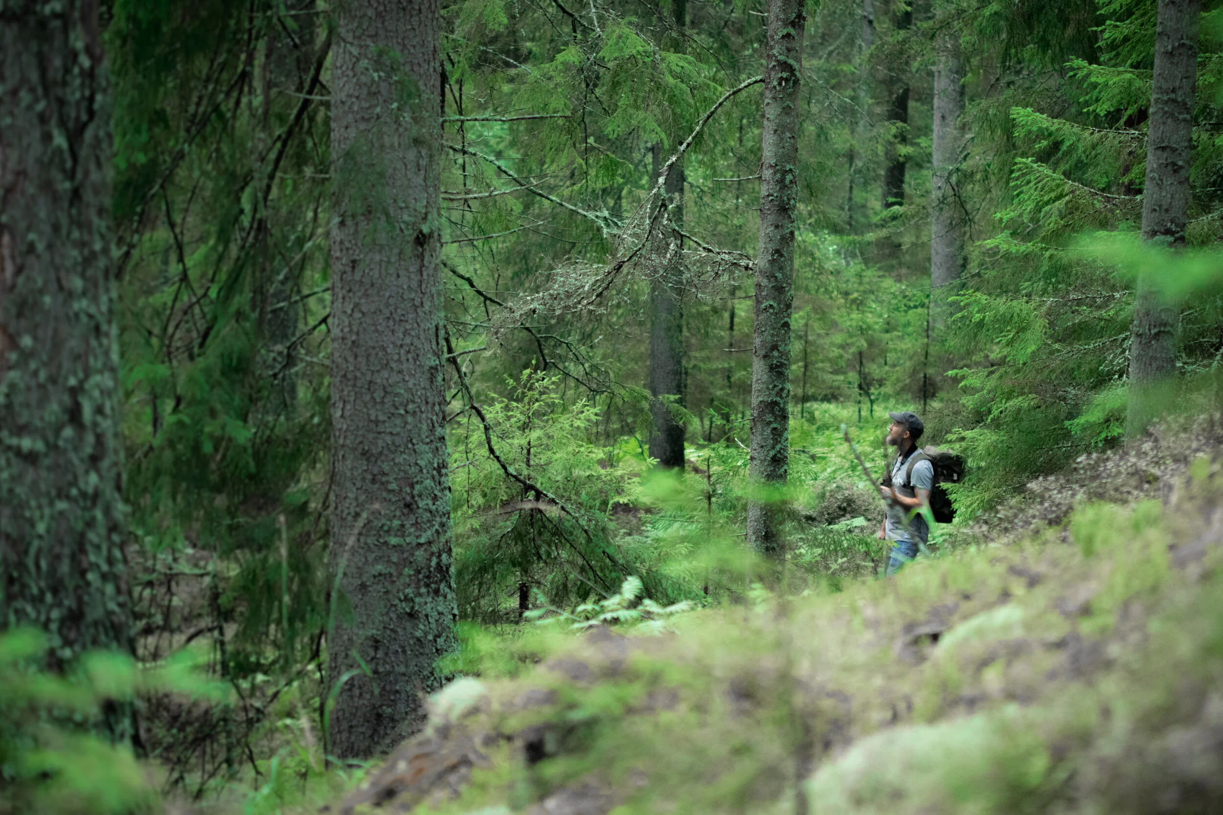 Simon_Green_hiking_1.jpg
