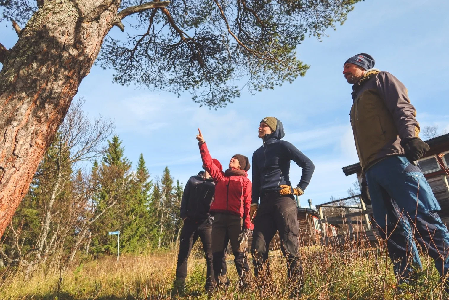 14 tips för att bli en bättre naturguide