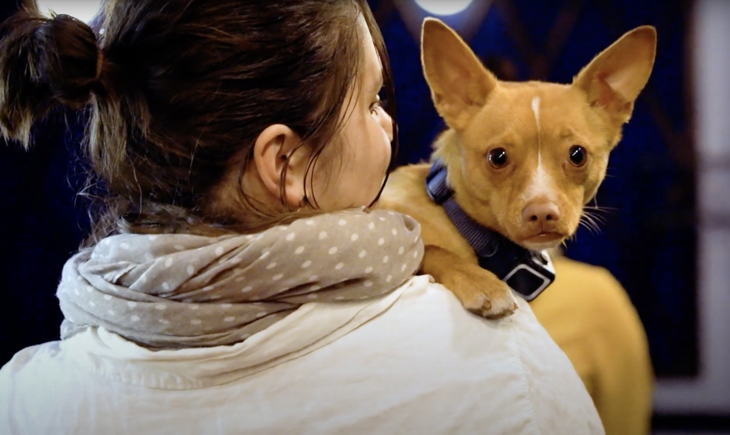 Toidufilmide festival on ametlikult alanud