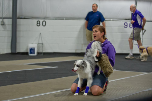 Beach Party Flyball 7 19 14 Races 1 to 10-8330.jpg