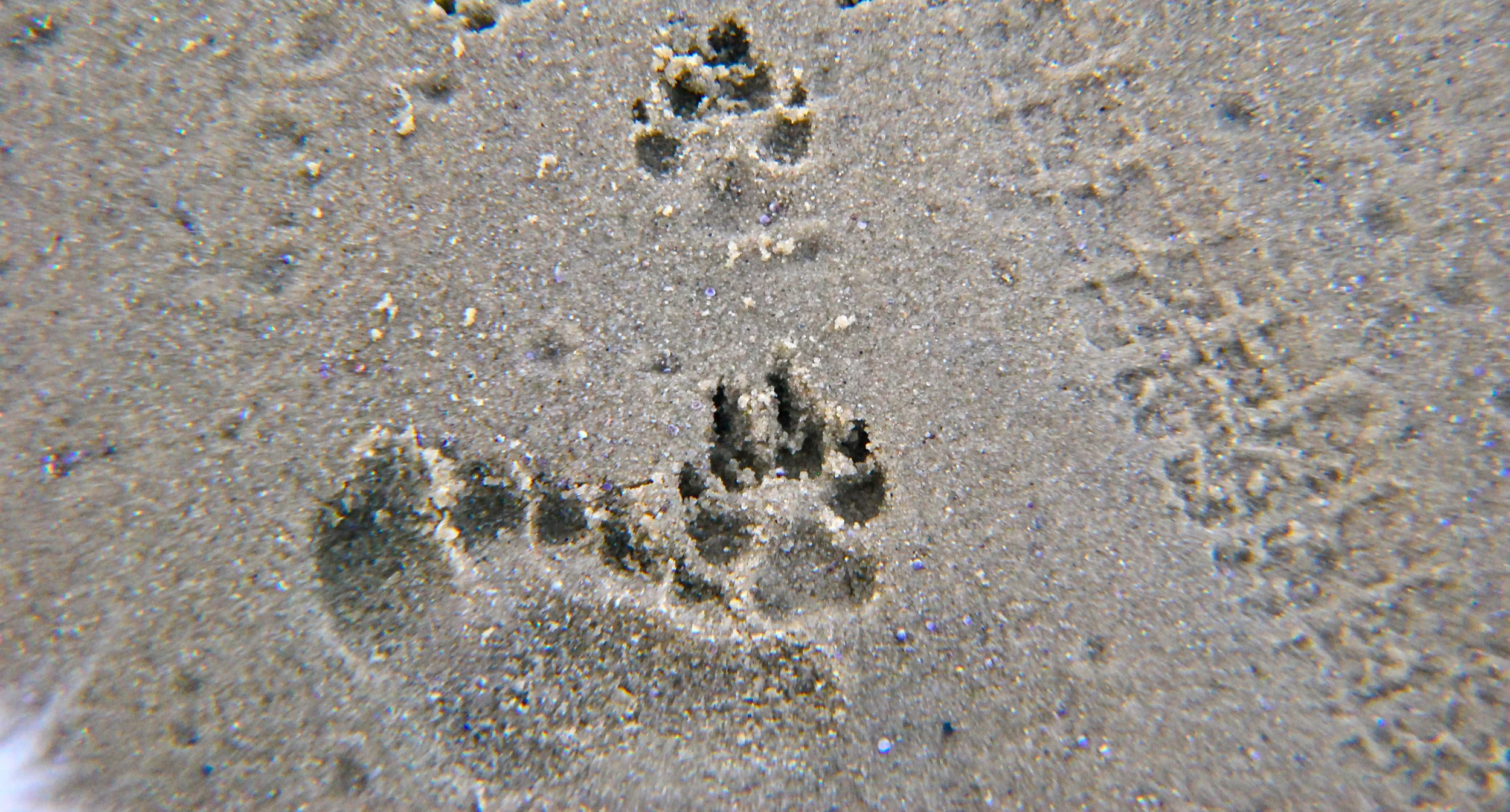DSC_0006.jpg