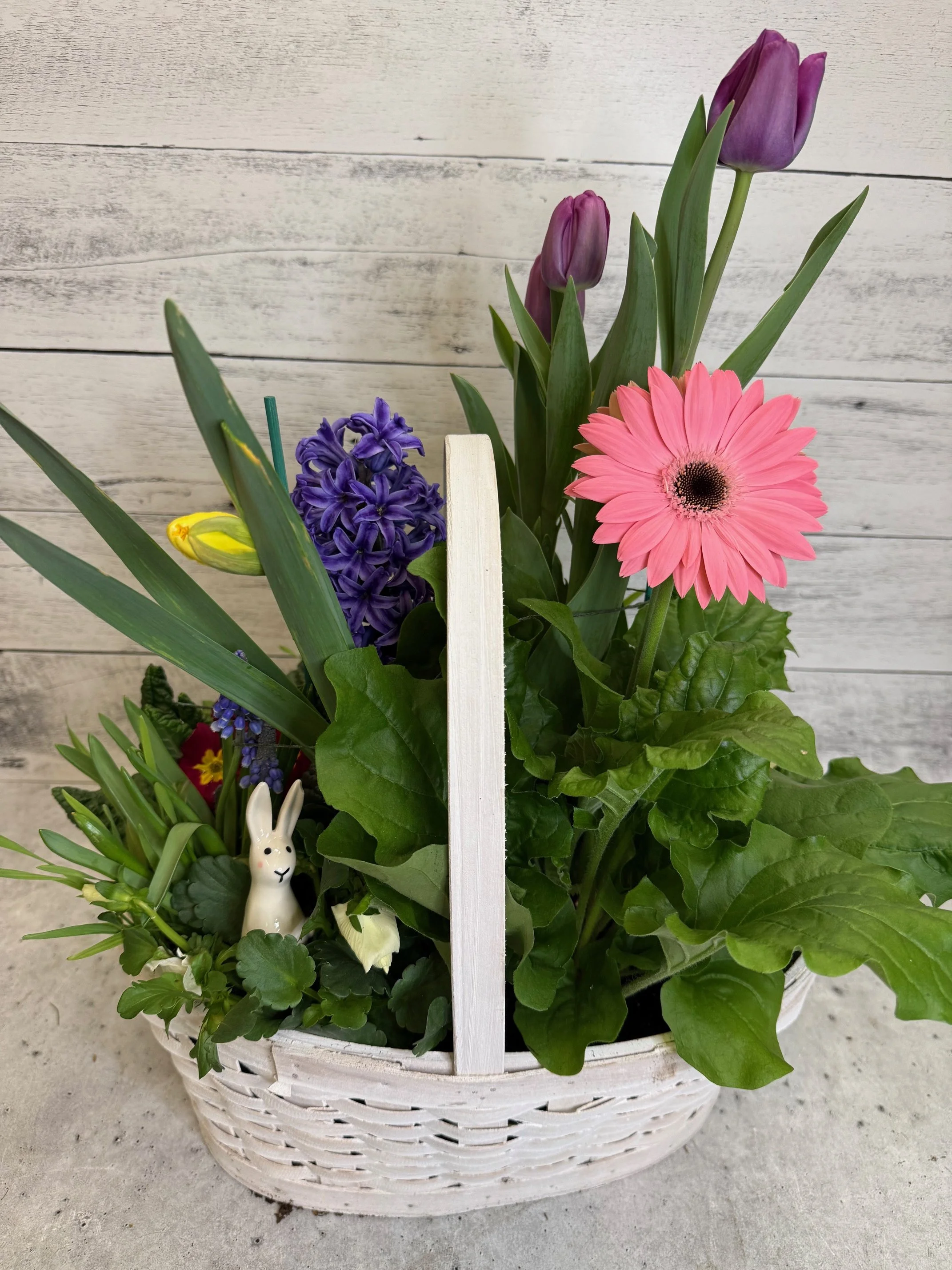 Spring Plant Basket