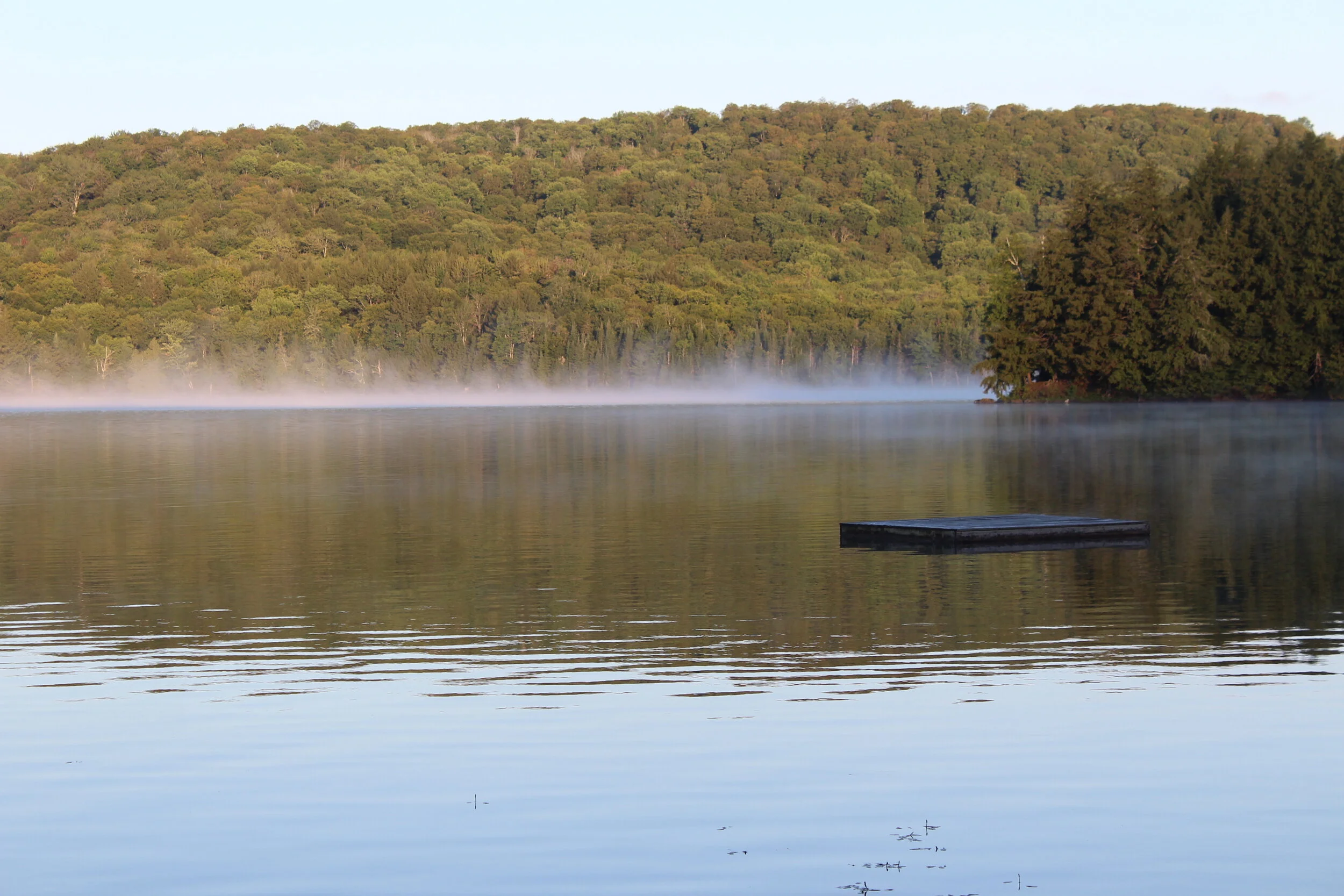 Nichols Pond Morning Mist