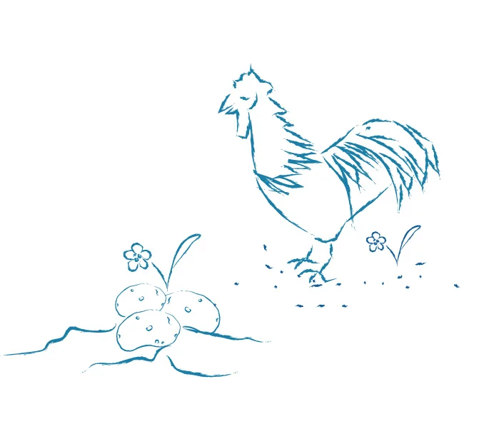 New Bison website kids chicken potato.jpg