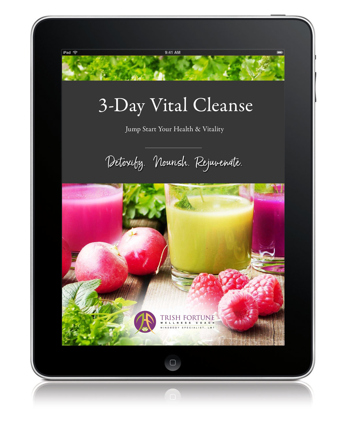 Vital-Cleanse-Ebook-Cover.png