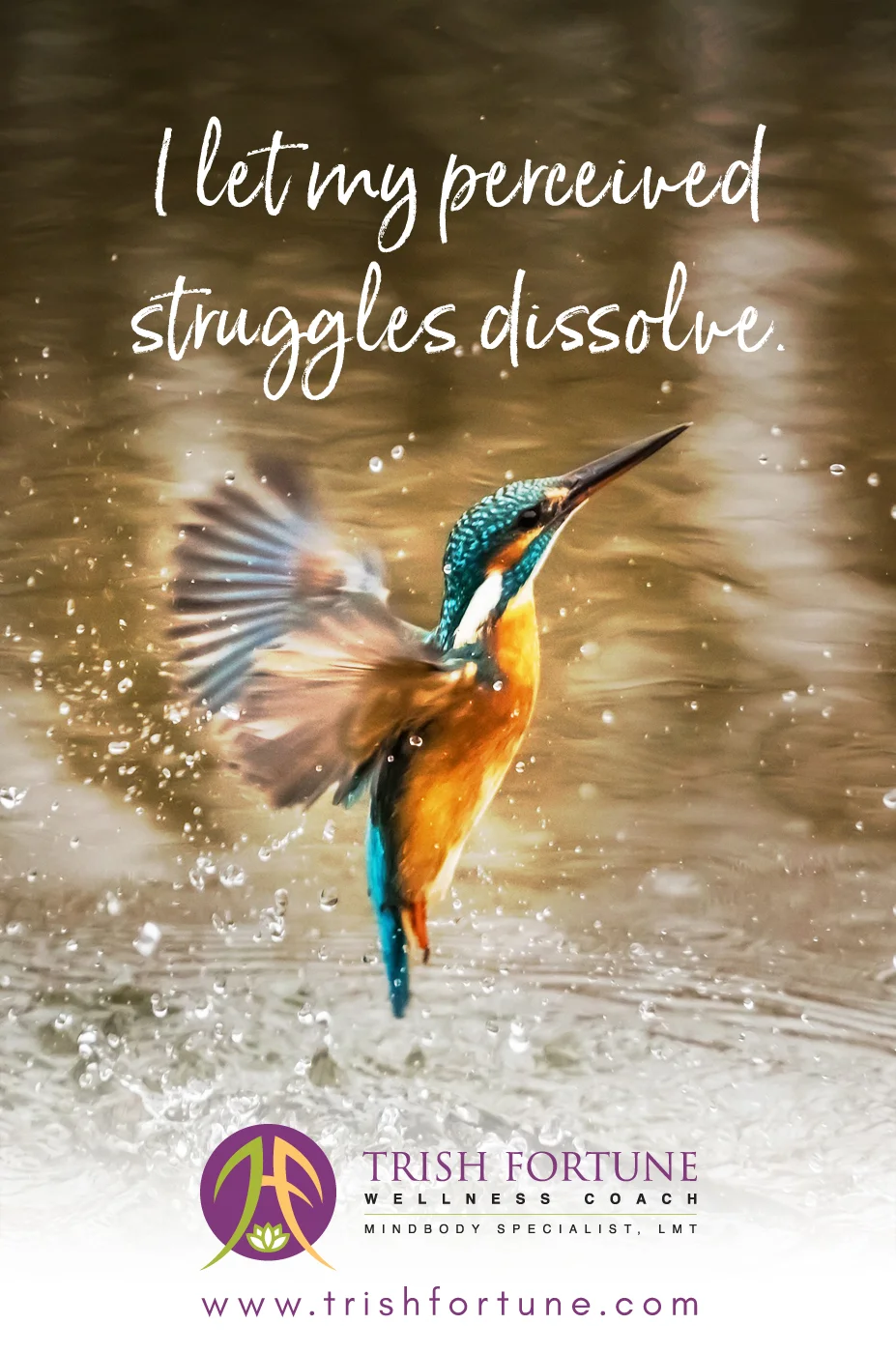 Hummingbird dissolved struggles.jpg