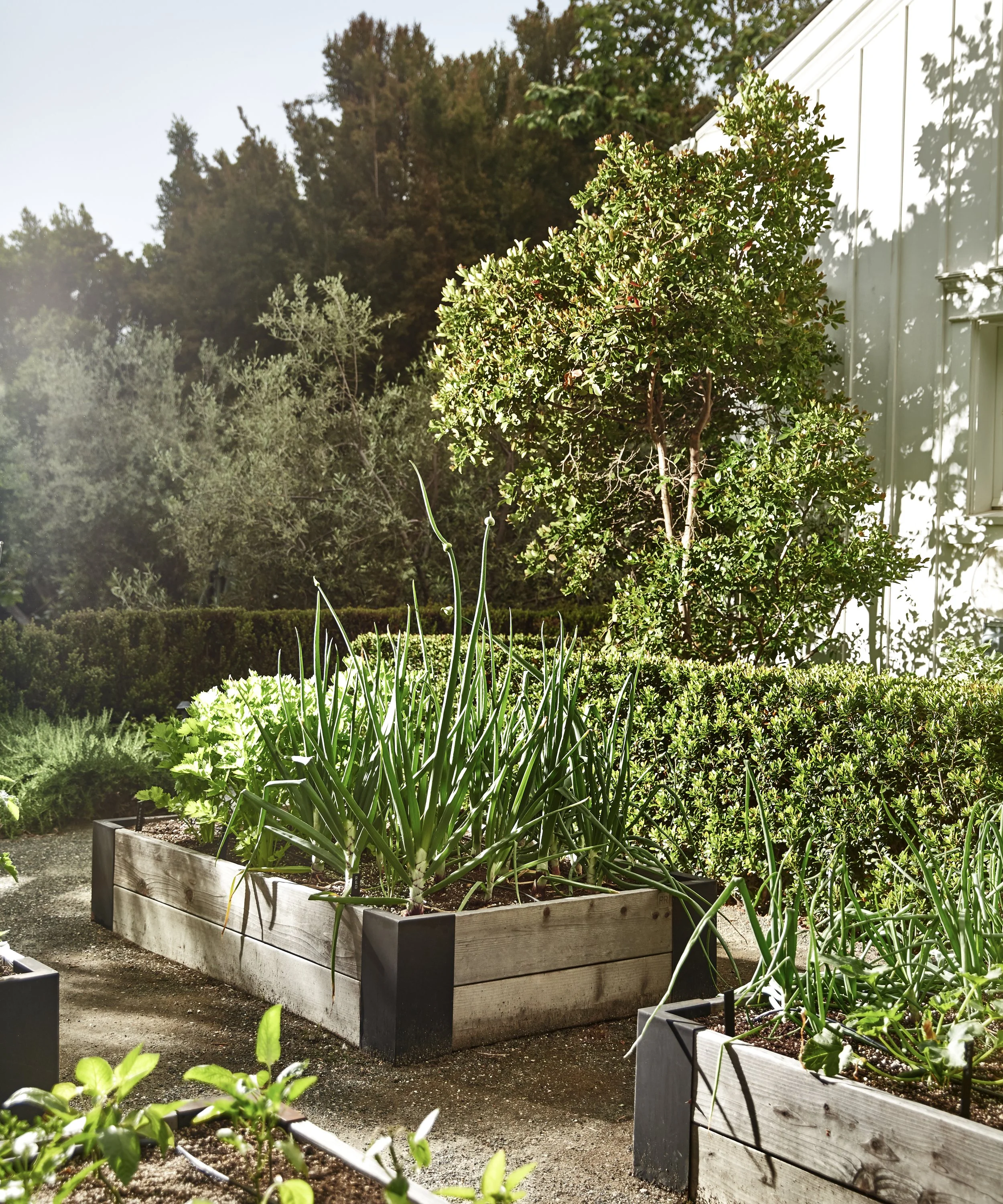 PeterDunham_20230516_PD_Showroom_0477 2.jpg