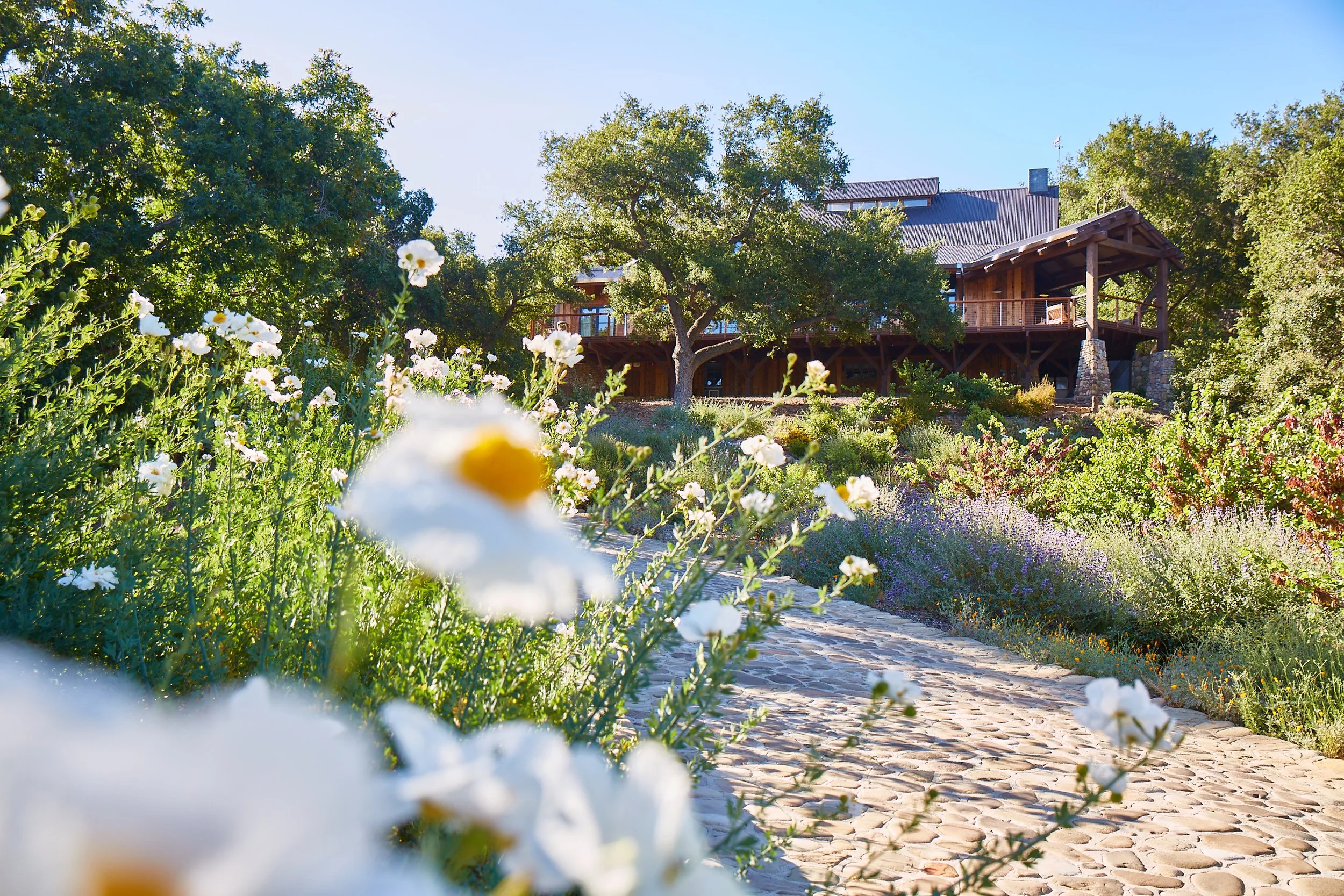 Ojai___20220506__PD_0117 1.jpg