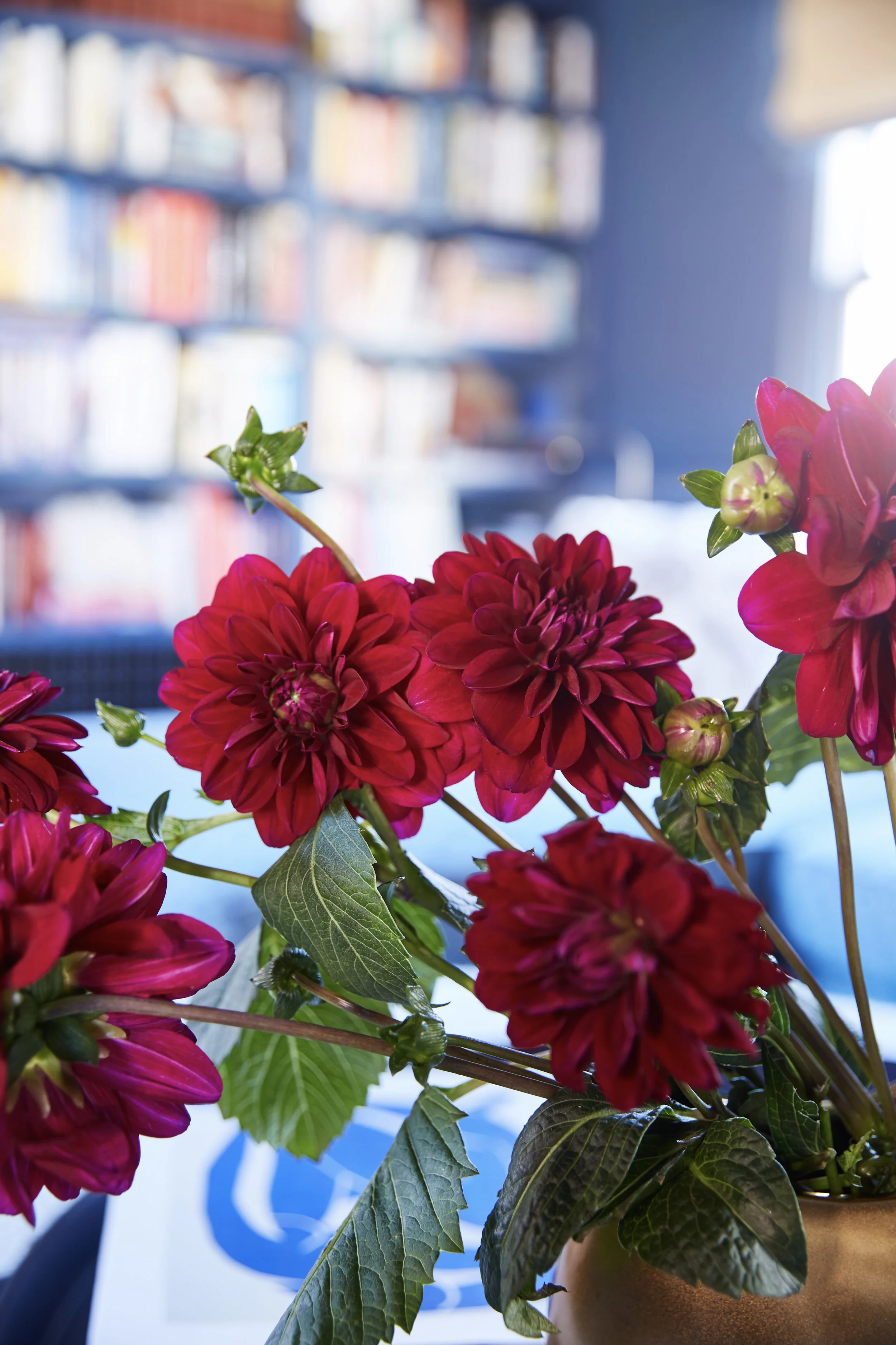 20230302_PD_Newport_0191 1.jpg