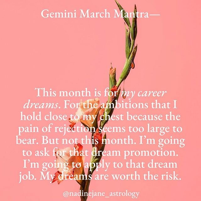 March&rsquo;s Featured Photographer: @hisuzanne ❤️ Hey Pisces Season 👋🏻 read your rising sign first, and then your sun sign to get the most accurate horoscopes ♊️ subscribe to get your full monthly horoscope via my site✨ #astrology #astrologymemes 