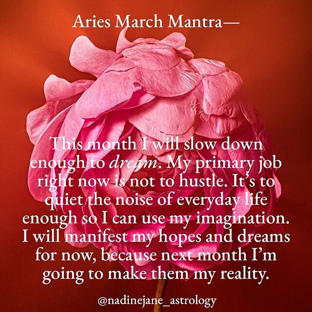 March&rsquo;s Featured Photographer: @hisuzanne ❤️ Hey Pisces Season 👋🏻 read your rising sign first, and then your sun sign to get the most accurate horoscopes ♈️ subscribe to get your full monthly horoscope via my site✨ #astrology #astrologymemes 