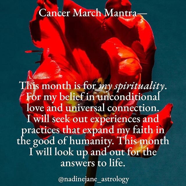 March&rsquo;s Featured Photographer: @hisuzanne ❤️ Hey Pisces Season 👋🏻 read your rising sign first, and then your sun sign to get the most accurate horoscopes ♋️ subscribe to get your full monthly horoscope via my site✨ #astrology #astrologymemes 