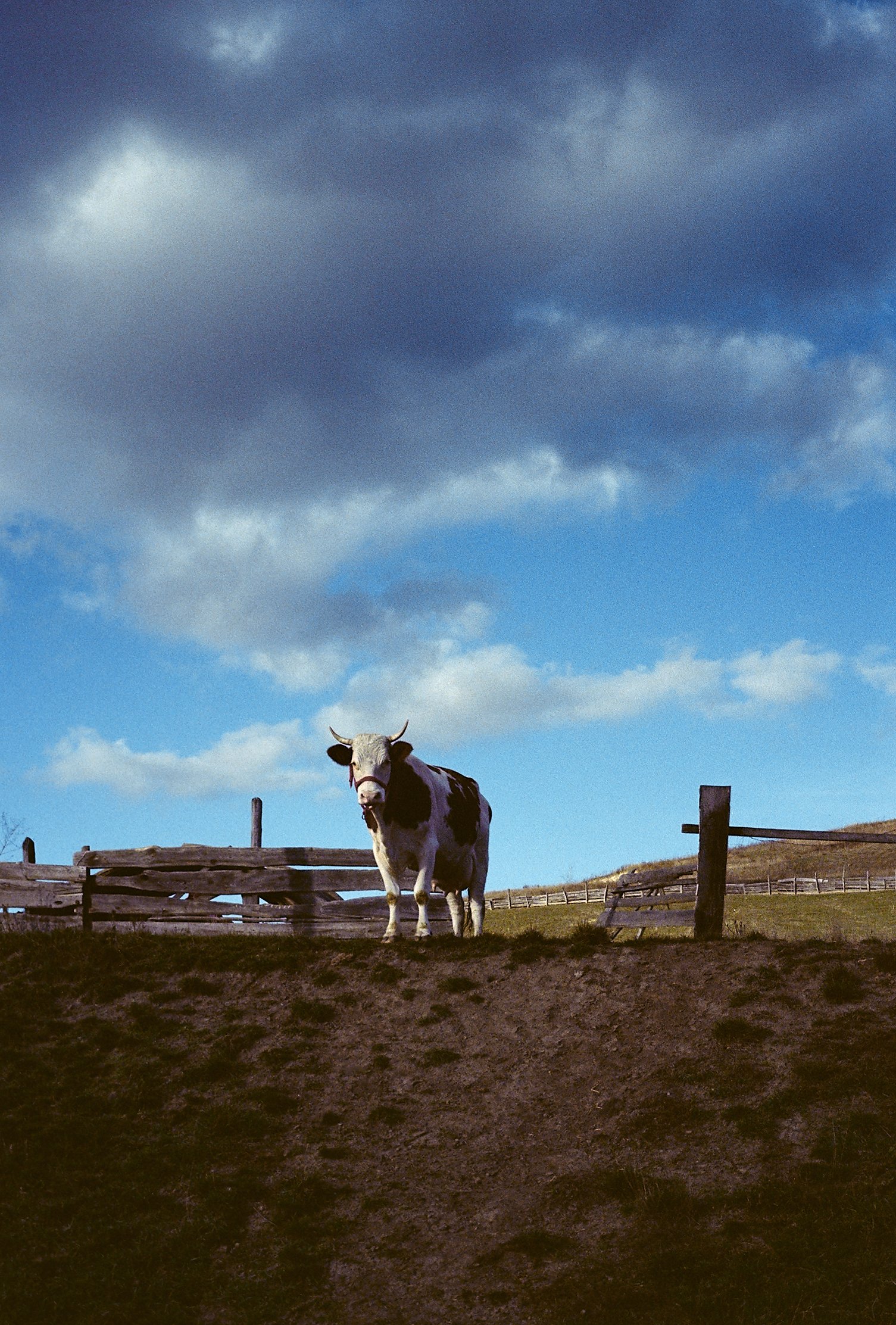 10 Romania_6686_55.jpg