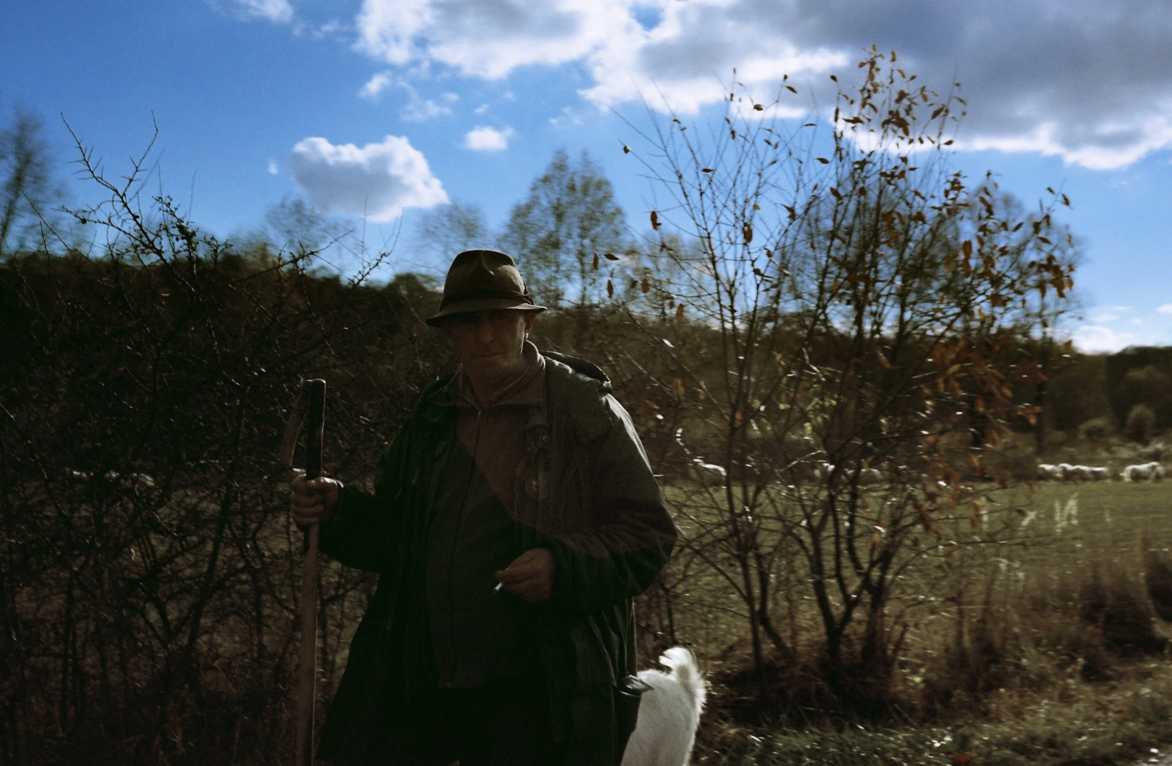 9 Romania_6686_45.jpg