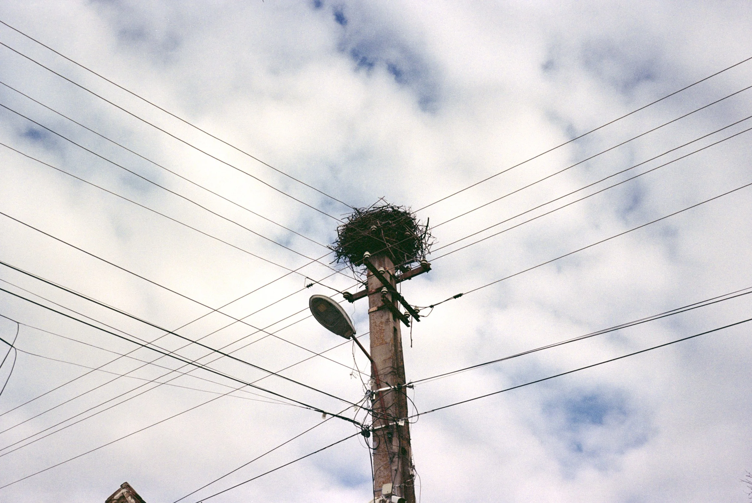 11 Romania_6686_29.jpg